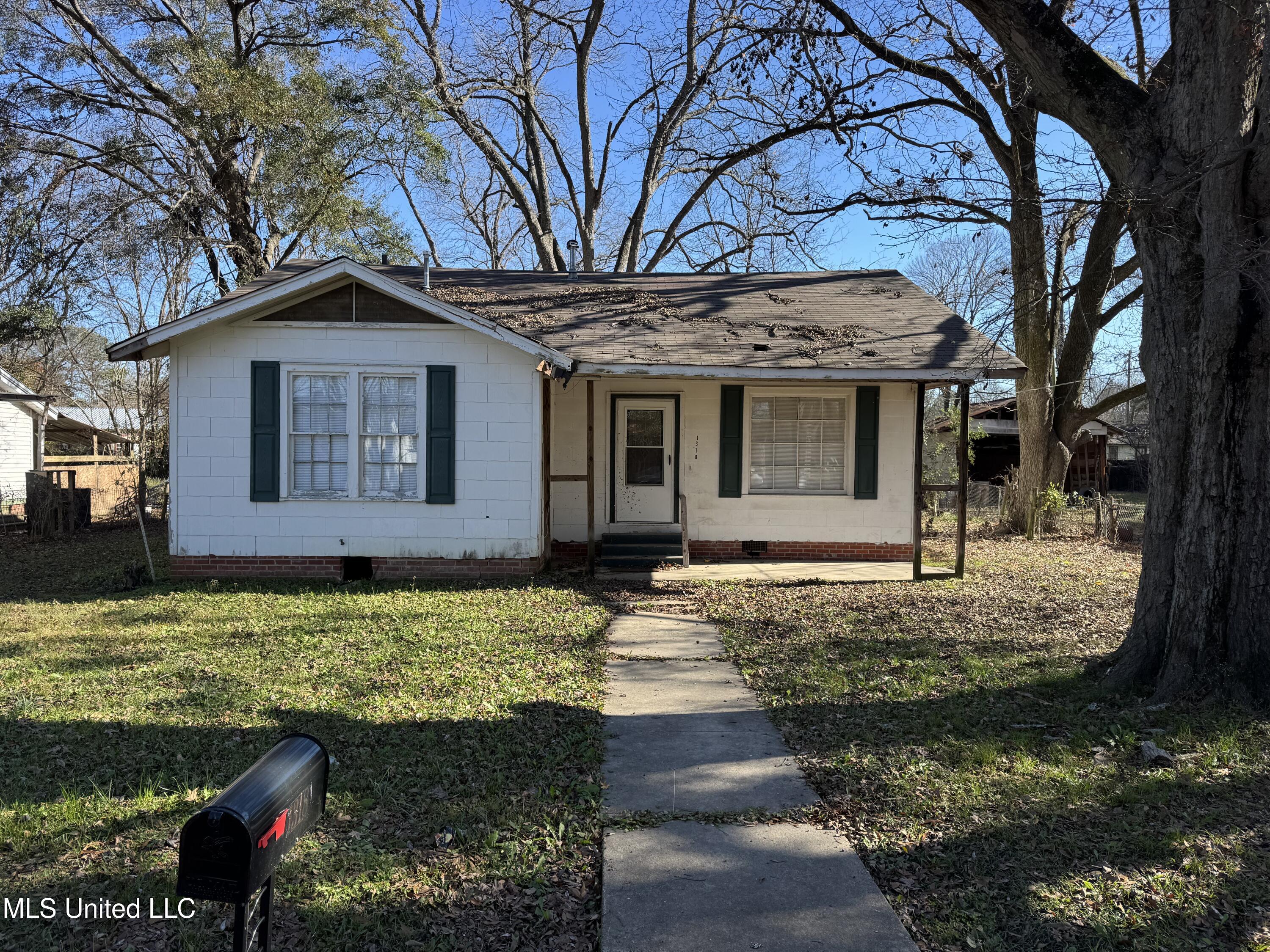 1318 Elise Avenue, Yazoo City, Mississippi image 1