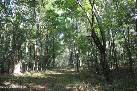 Vacant Land For Sale - 14 Star Landing Road<br/> Nesbit, MS 38651