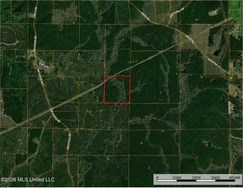 Vacant Land For Sale - 0000 N Joe Dyess Road<br/> Jefferson Davis County, Carson, MS 39427