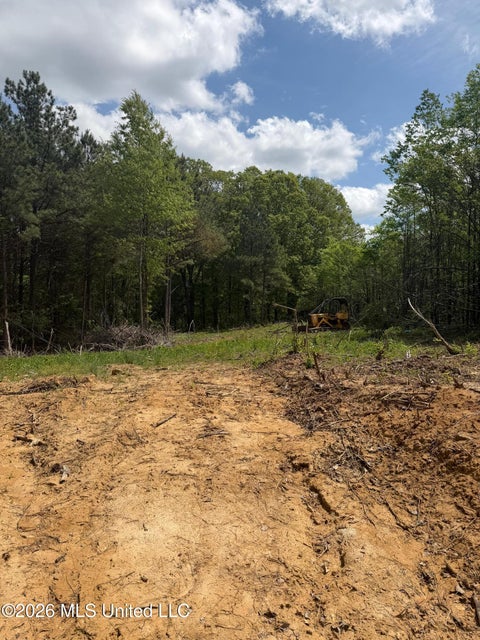 Vacant Land For Sale - LOT 4 Cayce Rd<br/> Byhalia, MS 38611