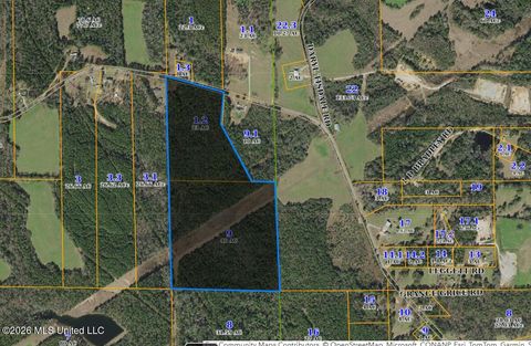 Vacant Land For Sale - 00 Rainey Road<br/> Jones County, Moselle, MS 39459