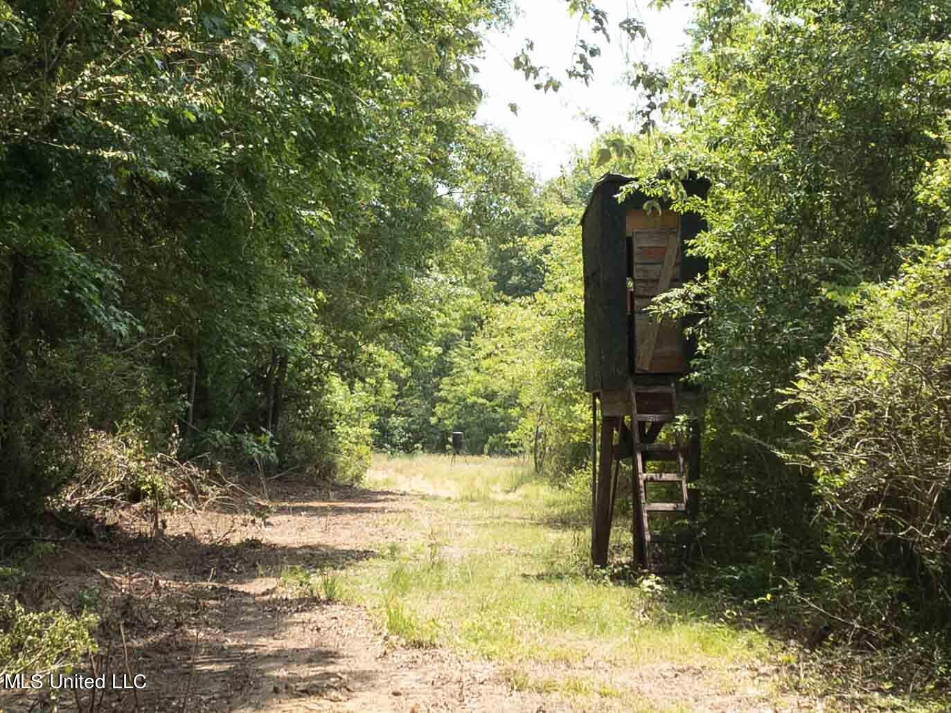 110 +/- Highway 35, Mount Olive, Mississippi image 35