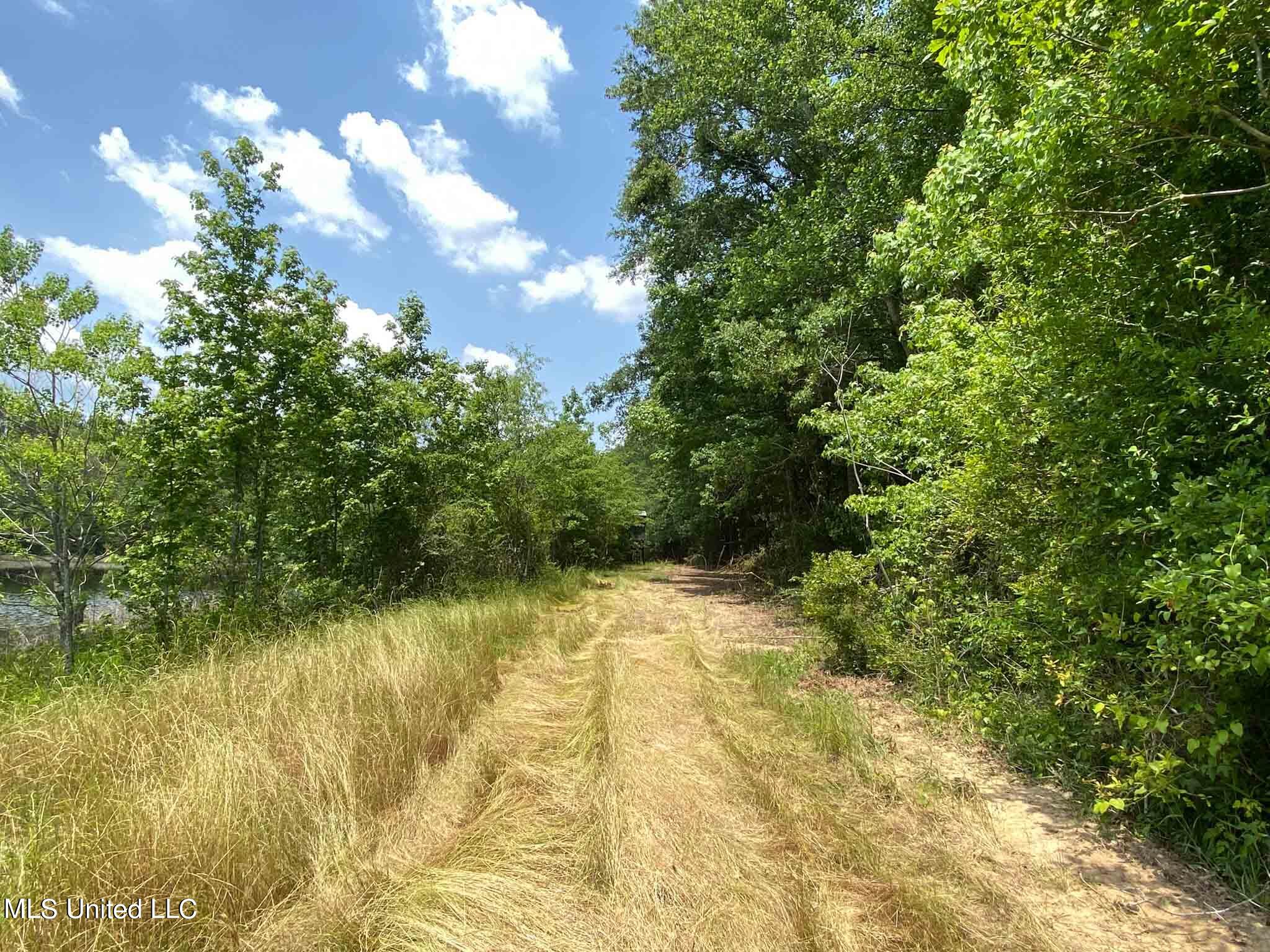 110 +/- Highway 35, Mount Olive, Mississippi image 38