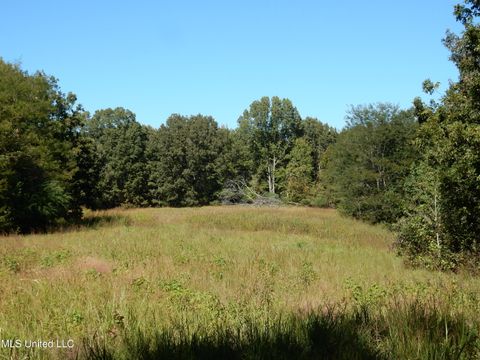 Vacant Land For Sale - LOT 6 N Crockett Road<br/> Senatobia, MS 38668