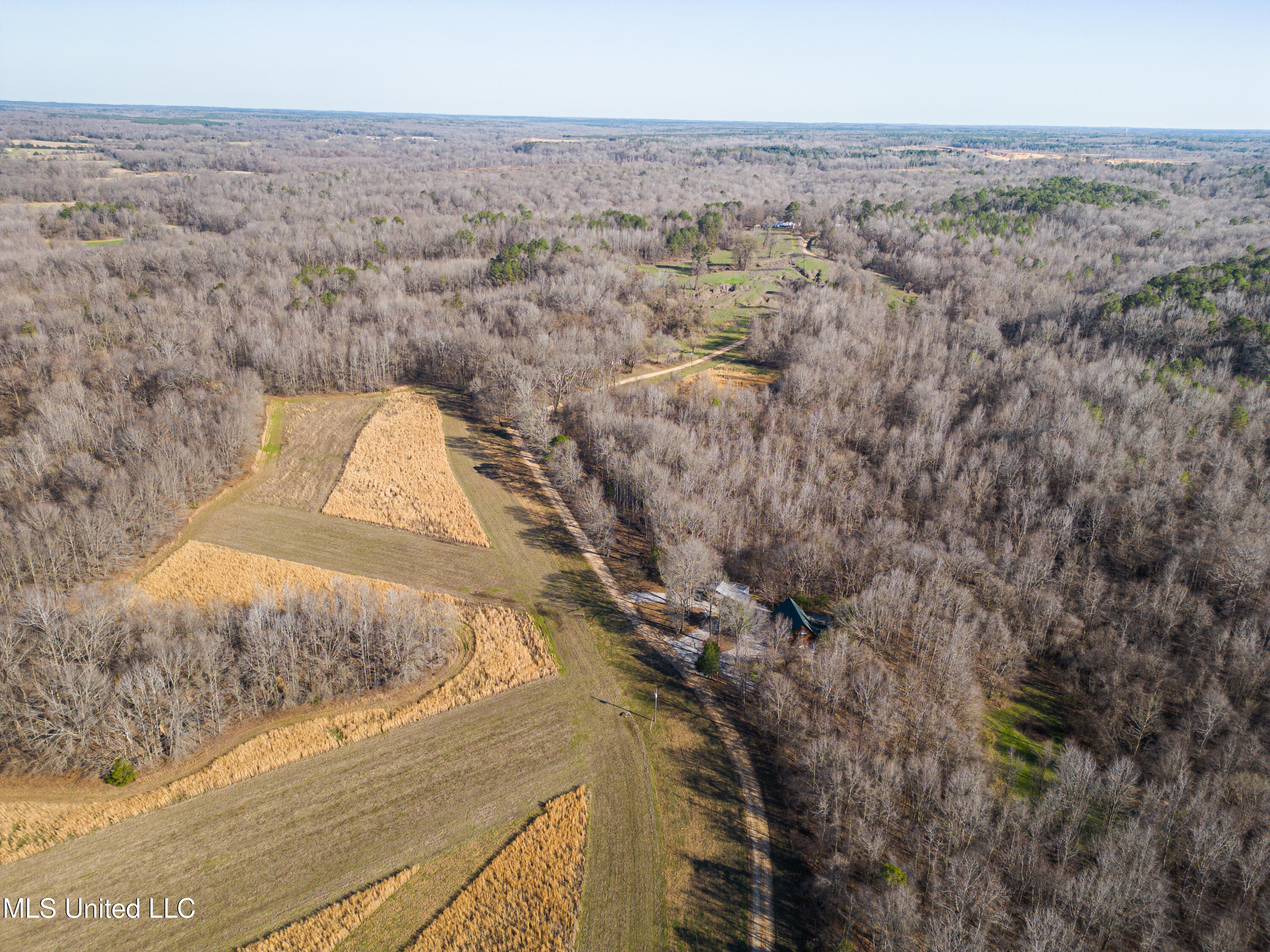 County Road 380, Cruger, Mississippi image 3