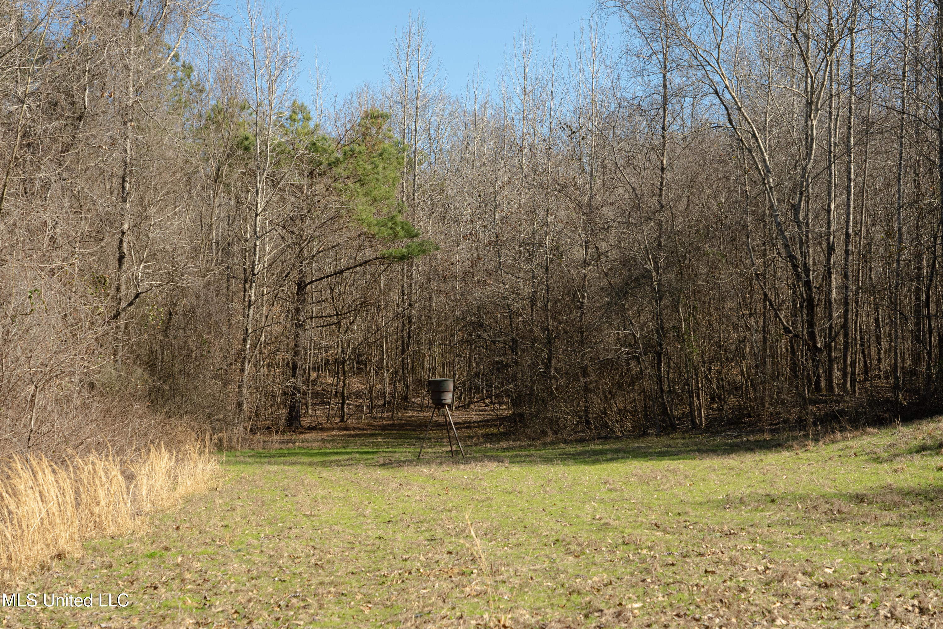 County Road 380, Cruger, Mississippi image 36