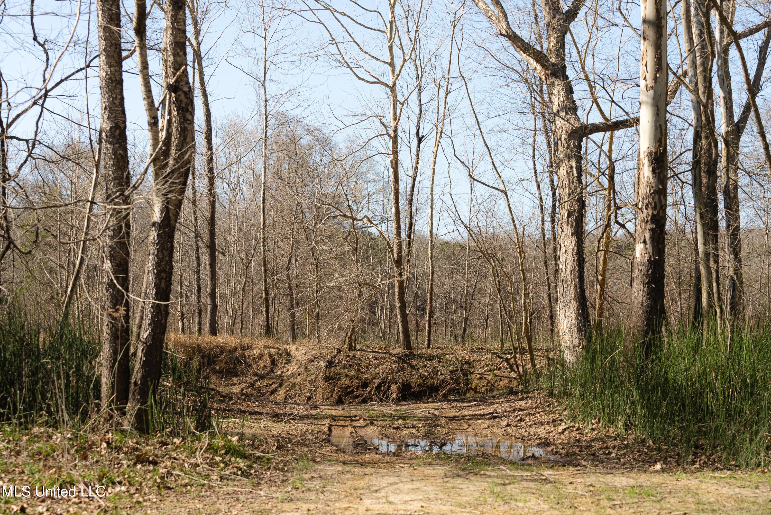 County Road 380, Cruger, Mississippi image 30