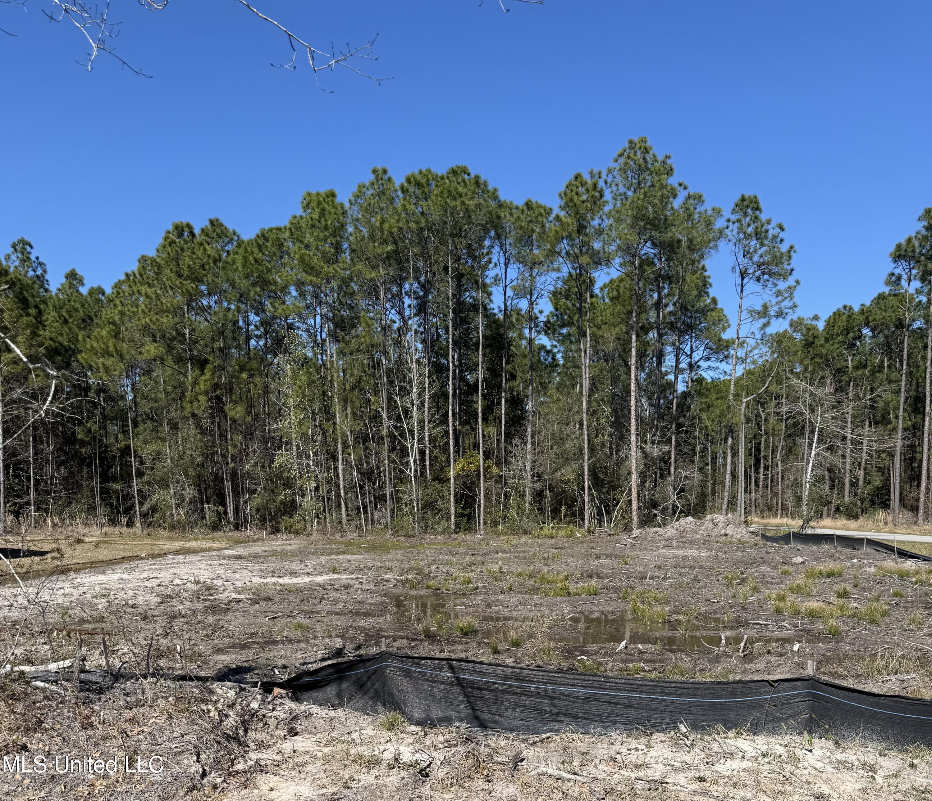 620 Edna Street, Waveland, Mississippi image 1