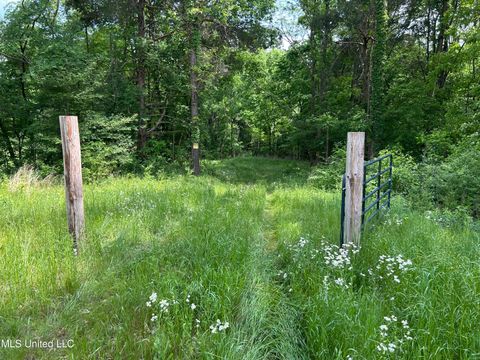 Vacant Land For Sale - 4315 N Crockett Road<br/> Sarah, MS 38665