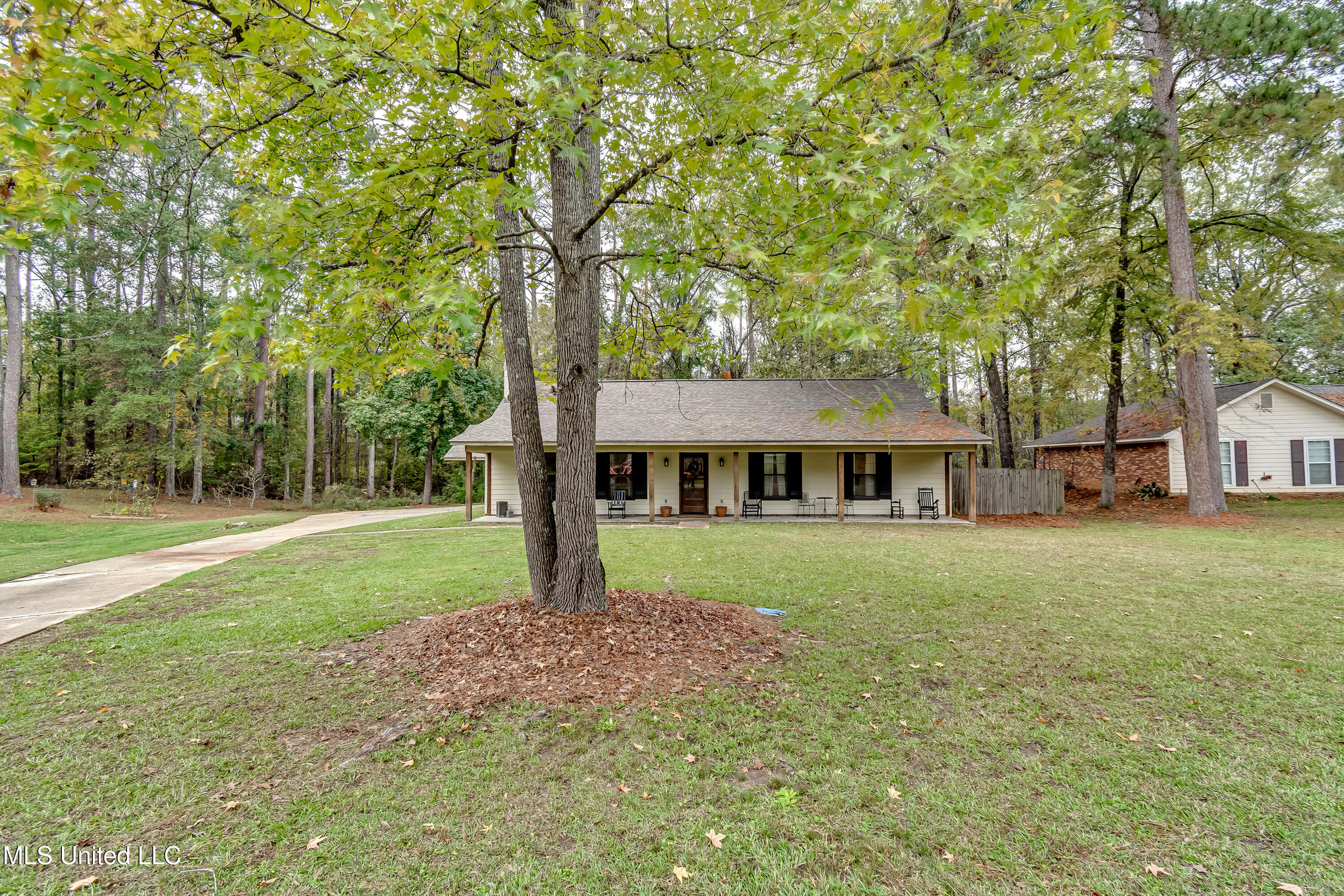 213 Camelia Trail, Brandon, Mississippi image 2