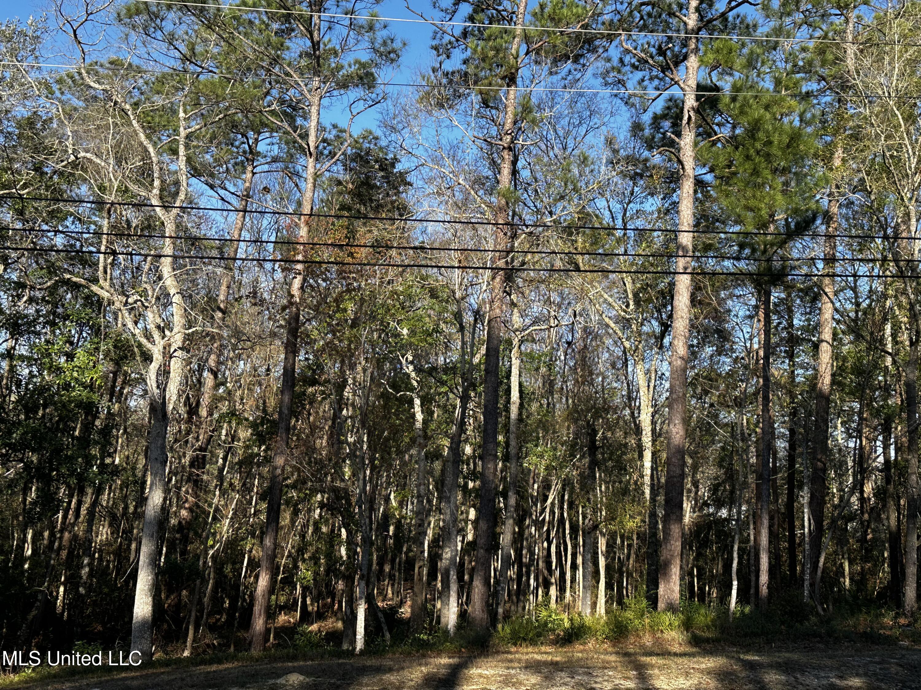 Dolphin Drive, Gautier, Mississippi image 8