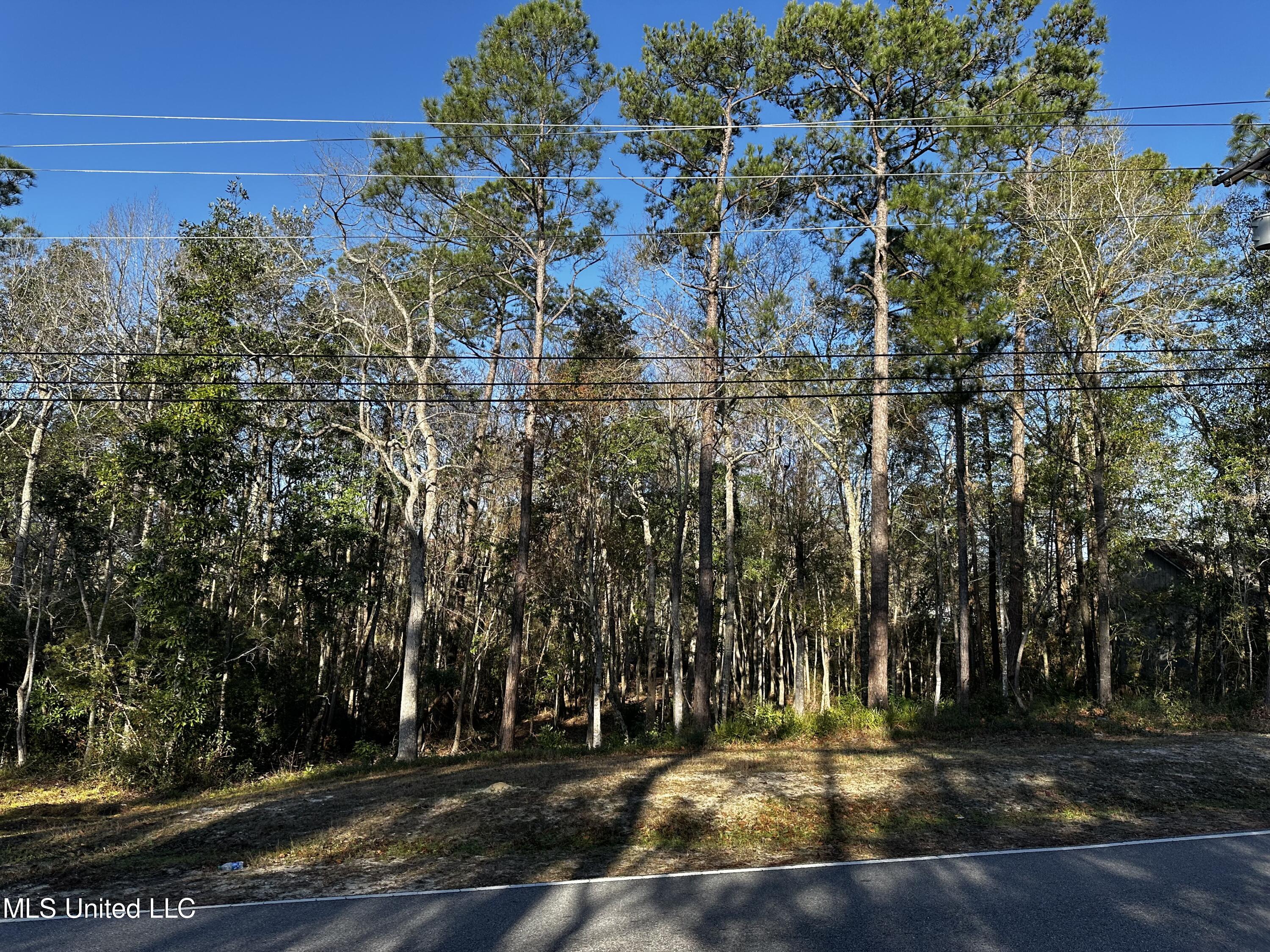 Dolphin Drive, Gautier, Mississippi image 1