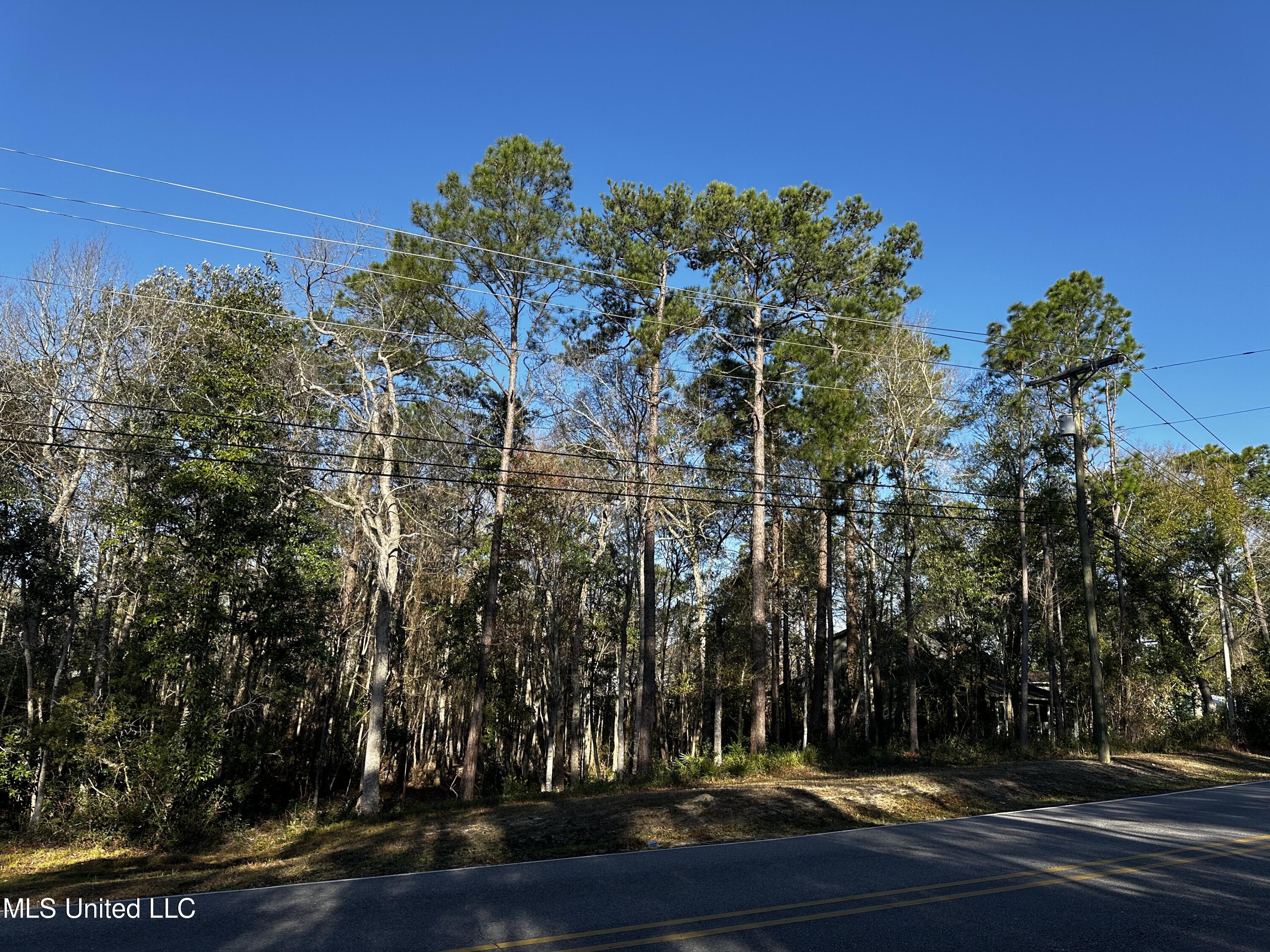 Dolphin Drive, Gautier, Mississippi image 2