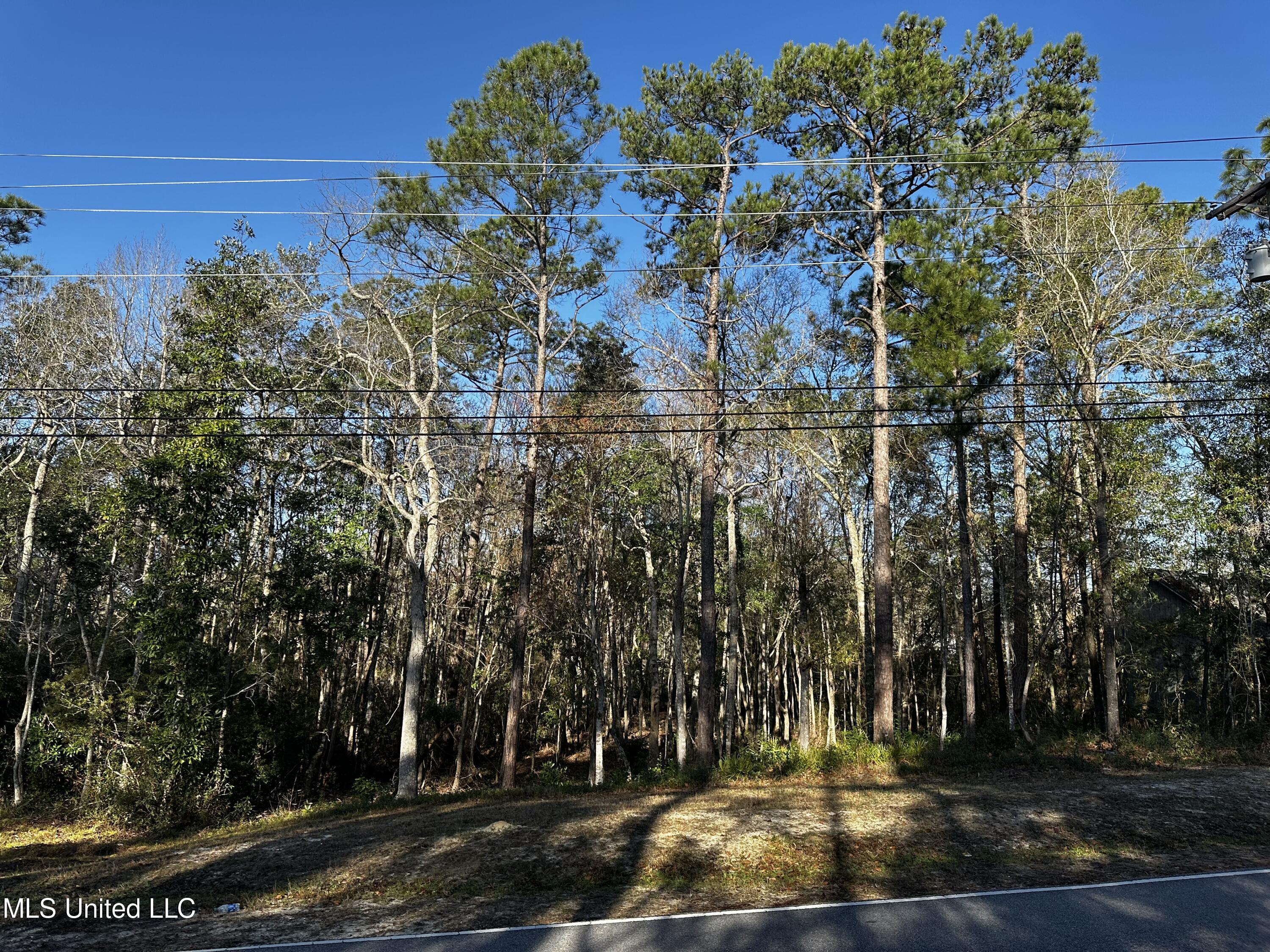 Dolphin Drive, Gautier, Mississippi image 3