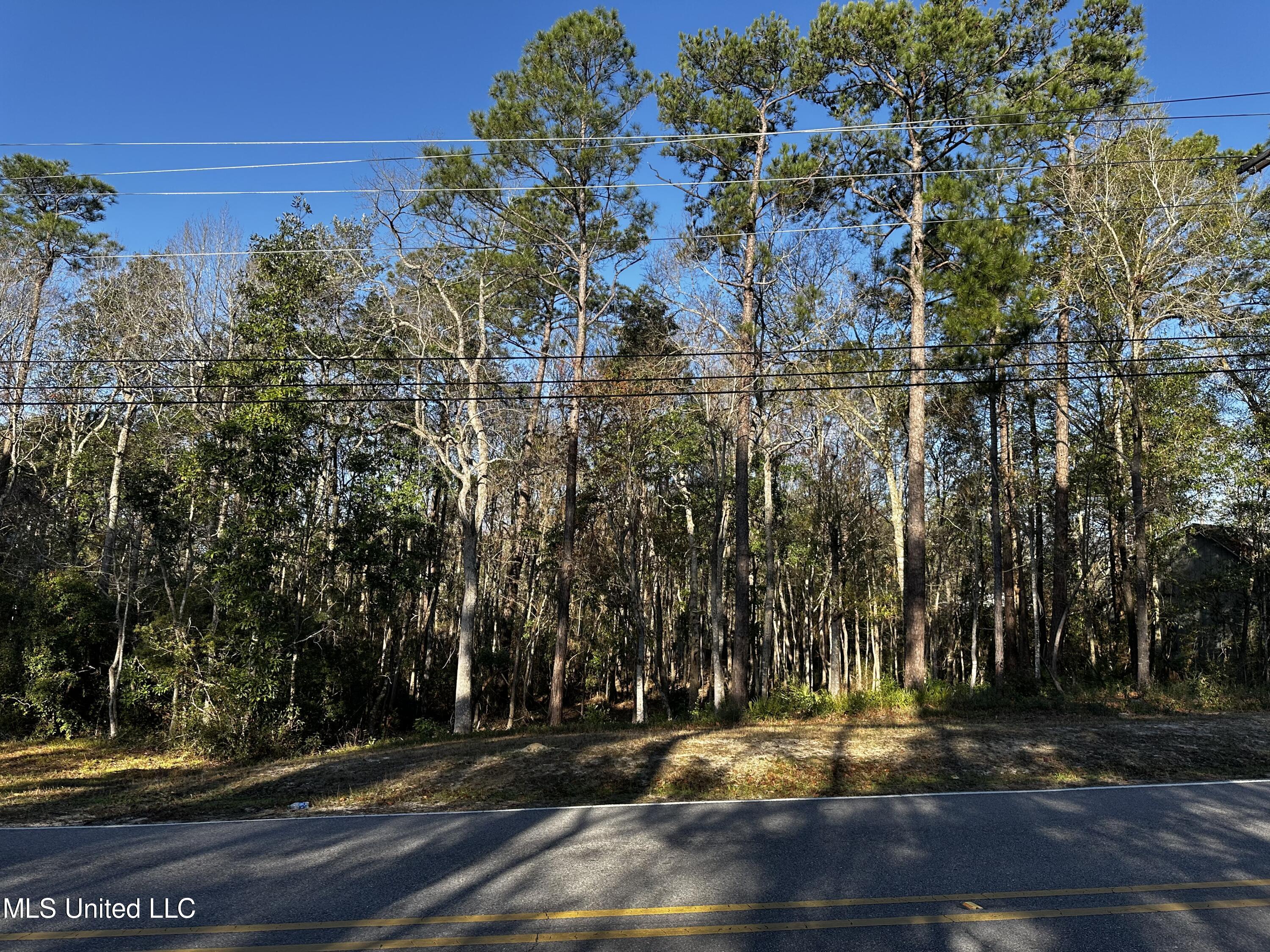 Dolphin Drive, Gautier, Mississippi image 4