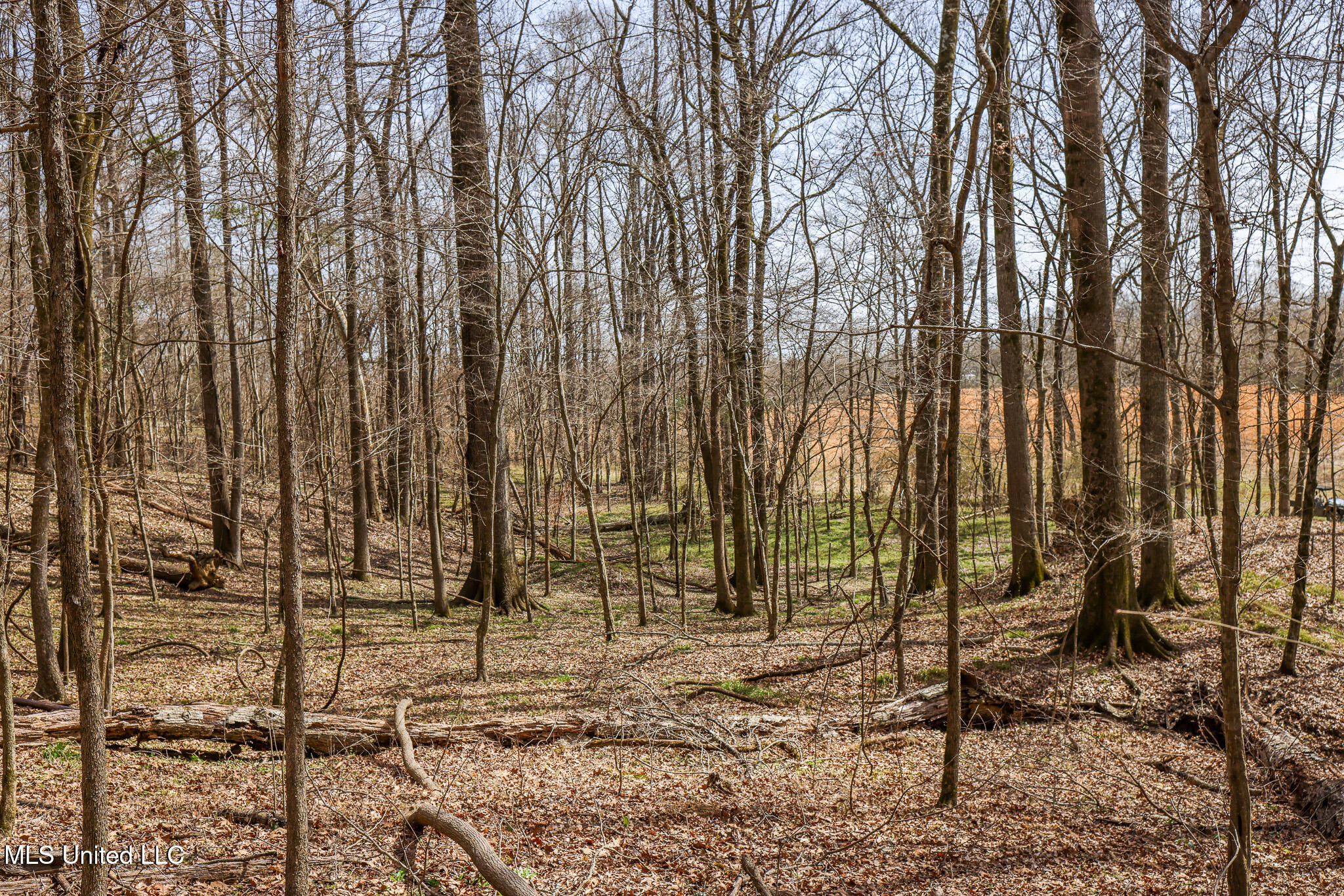 Tbd Old Hwy 80, Vicksburg, Mississippi image 15