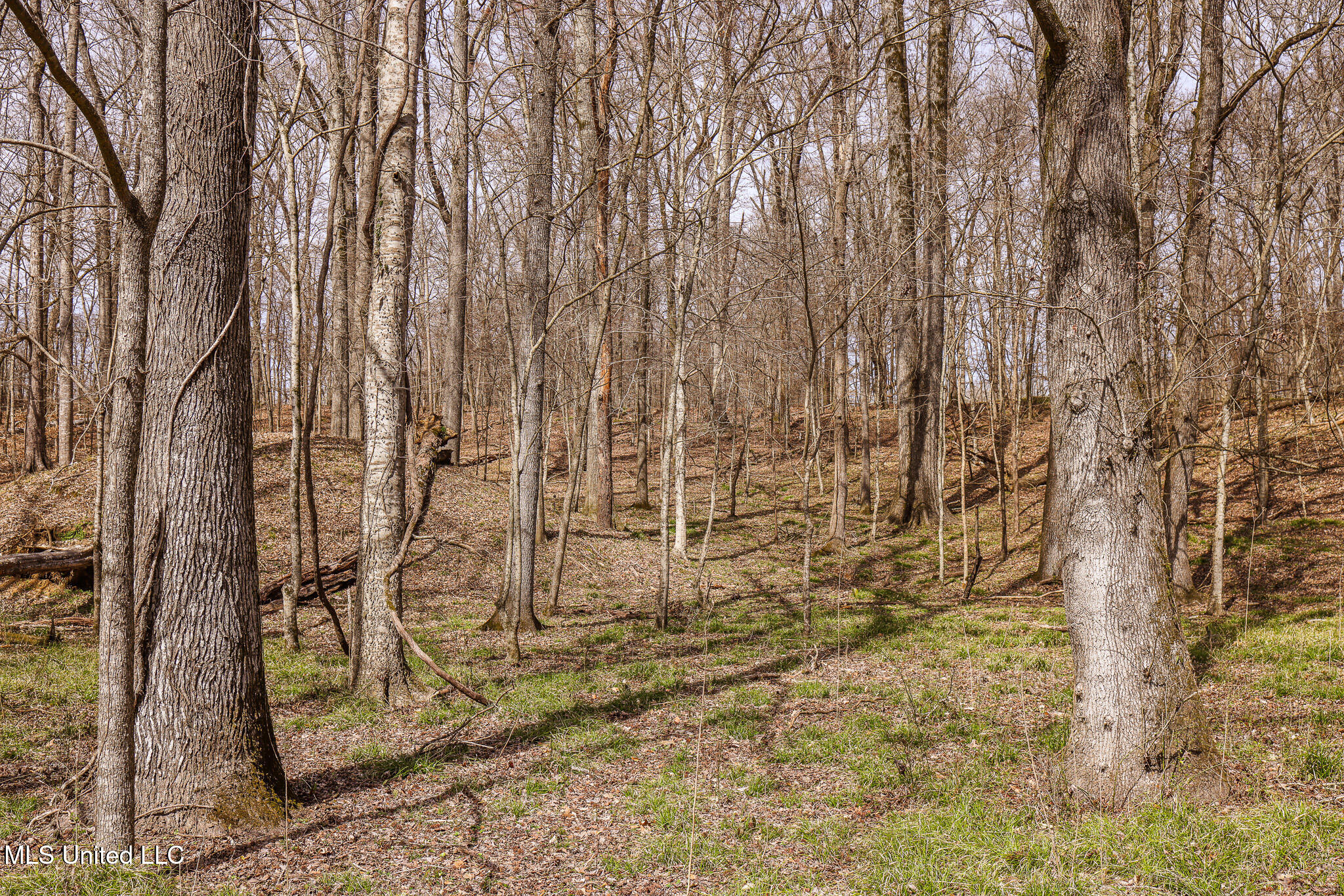 Tbd Old Hwy 80, Vicksburg, Mississippi image 11