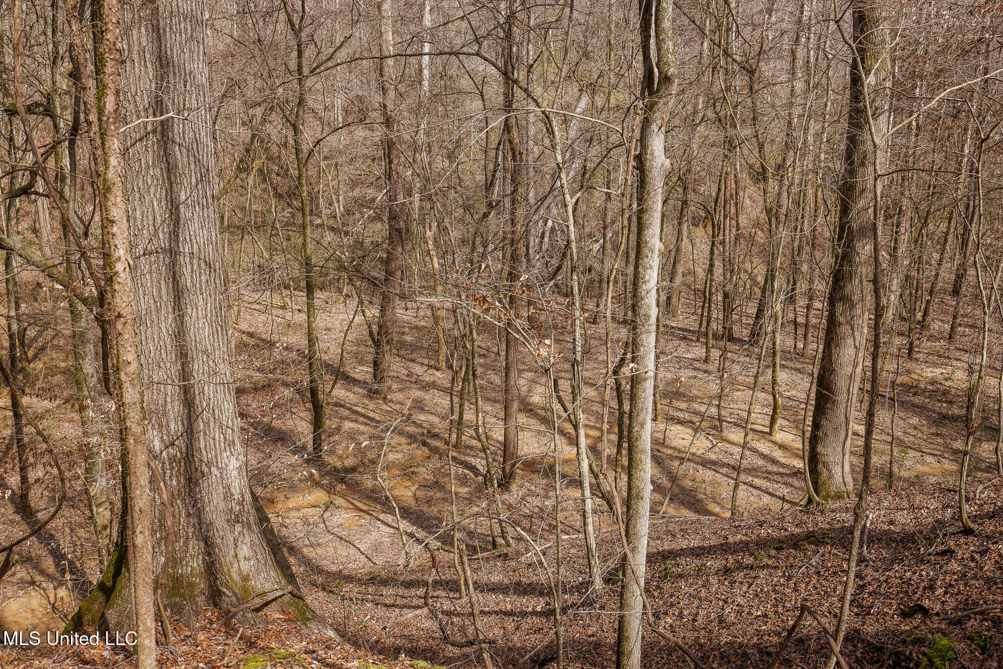 Tbd Old Hwy 80, Vicksburg, Mississippi image 22