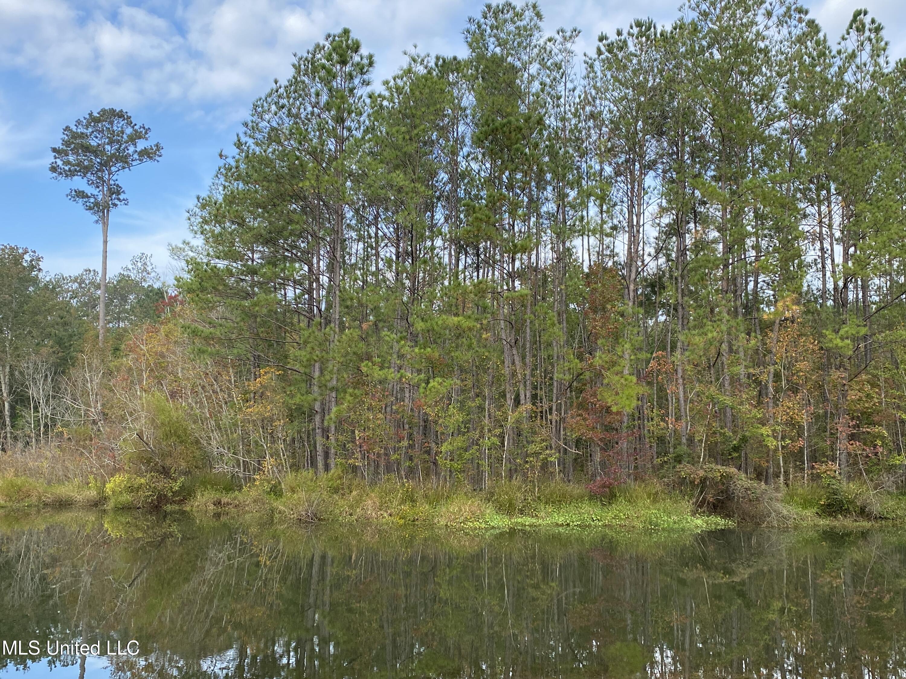 Rock Ranch Road, Picayune, Mississippi image 3