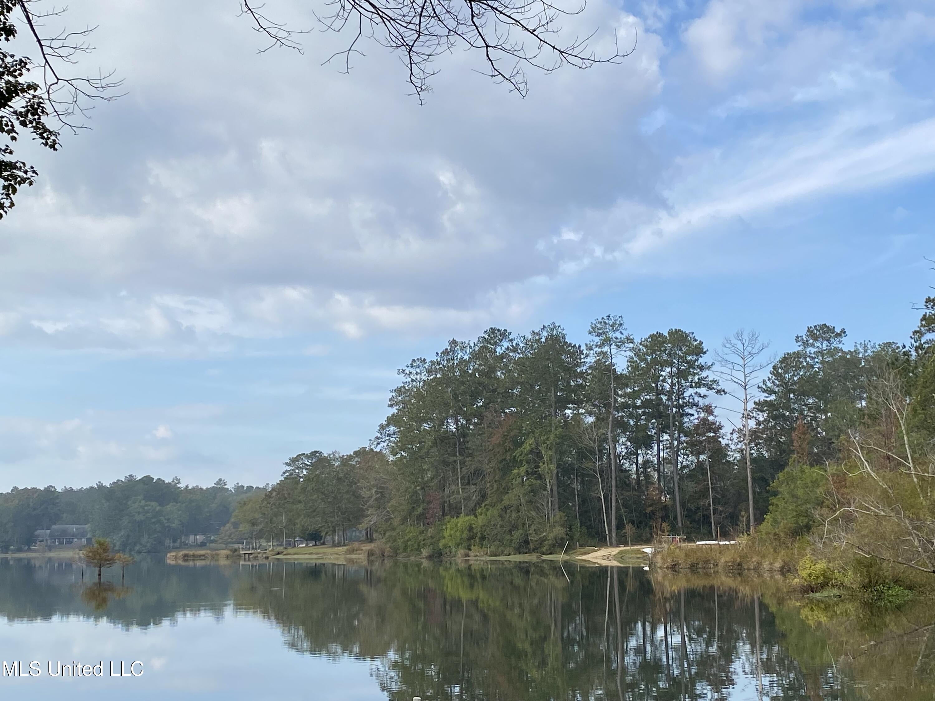 Rock Ranch Road, Picayune, Mississippi image 2