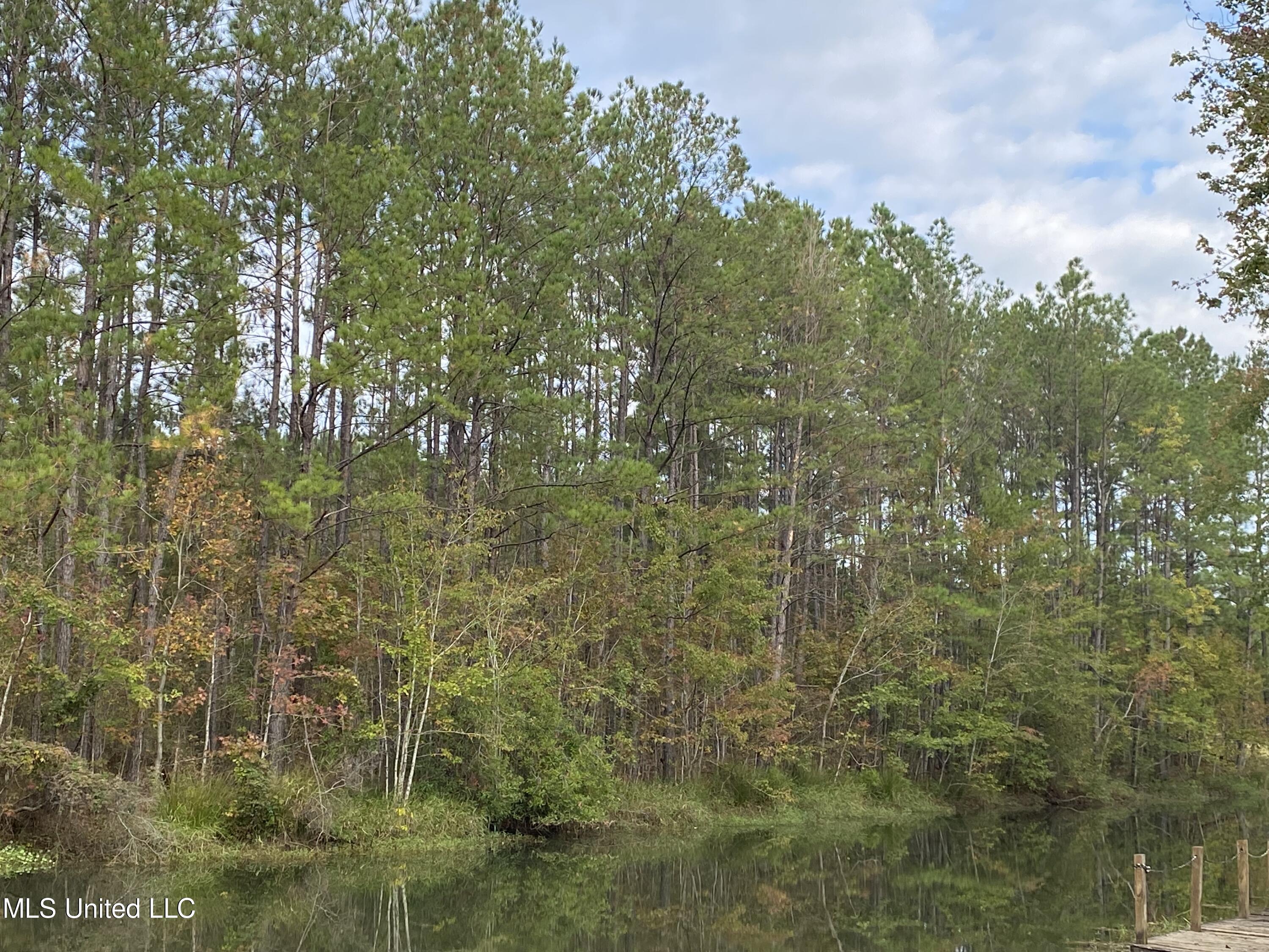 Rock Ranch Road, Picayune, Mississippi image 5