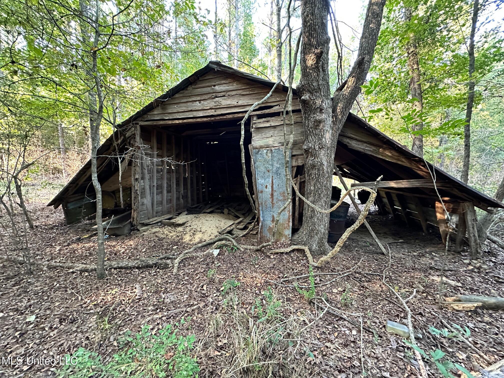 101 Harris Cove, Carthage, Mississippi image 25