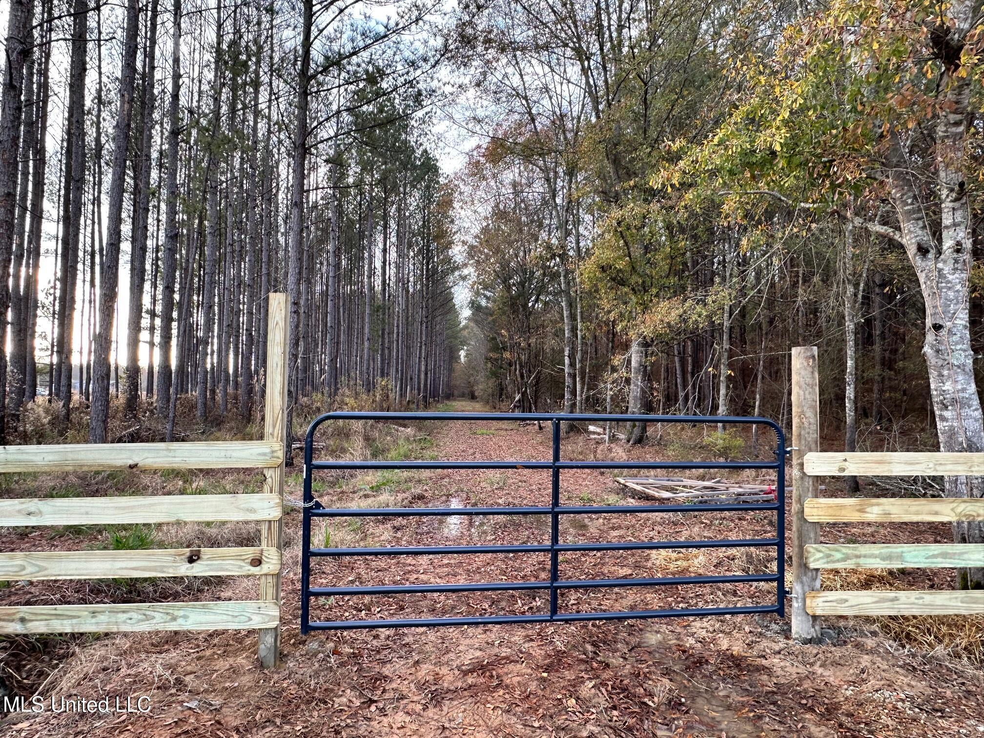 Lot 4 Swamp Road, Carthage, Mississippi image 9