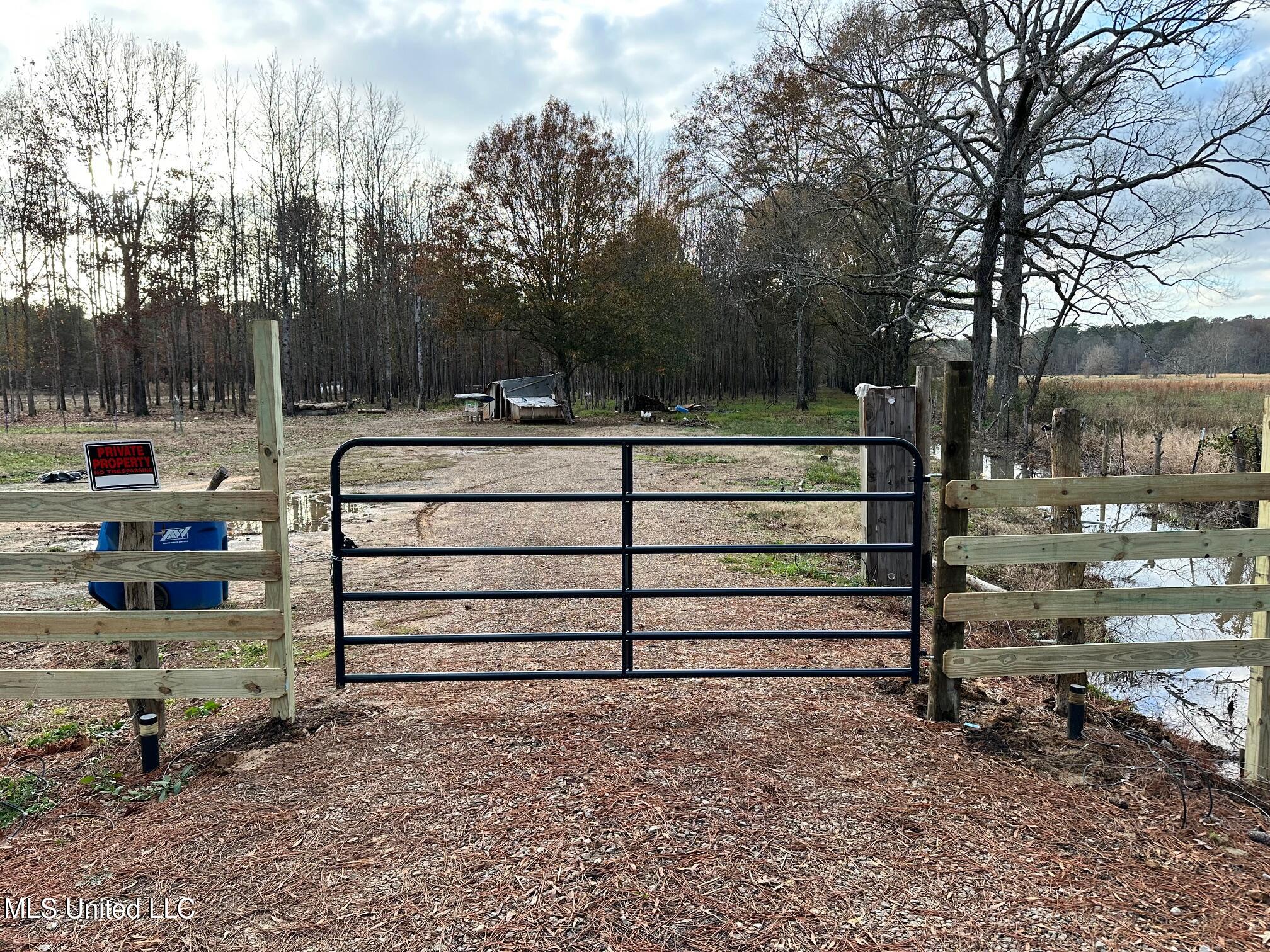 Lot 4 Swamp Road, Carthage, Mississippi image 10