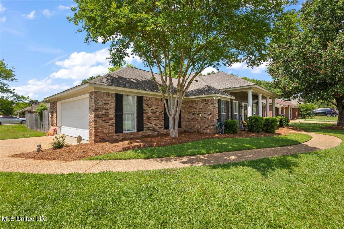 221 Holmar Drive, Brandon, Mississippi image 3