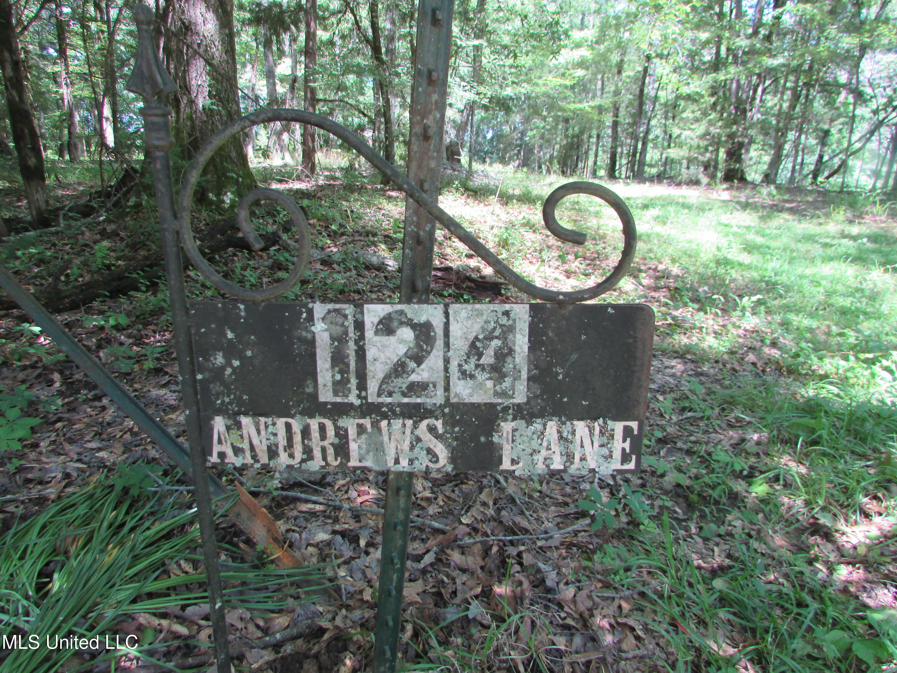 Bend Road, Vaughan, Mississippi image 27