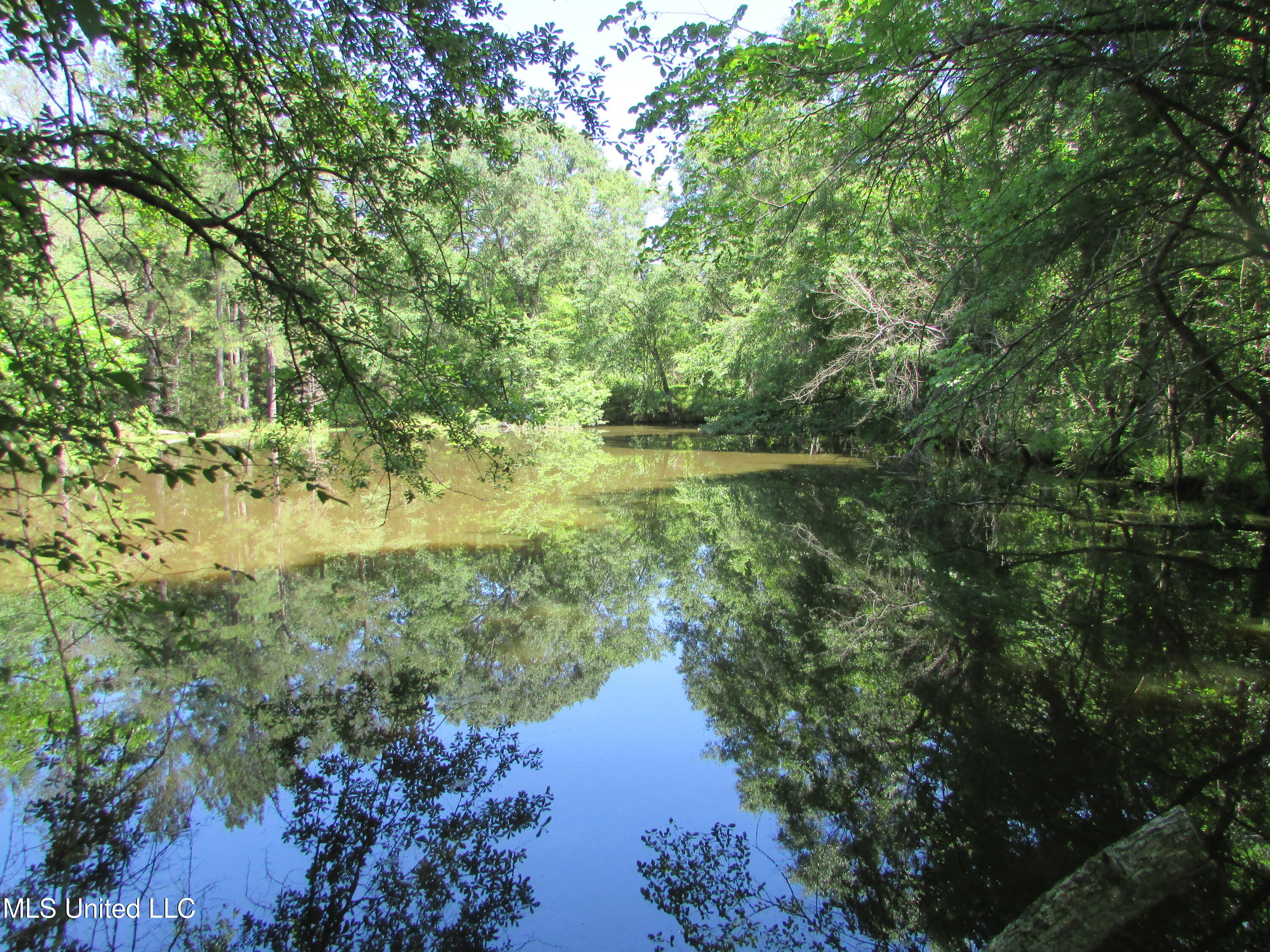 Bend Road, Vaughan, Mississippi image 26