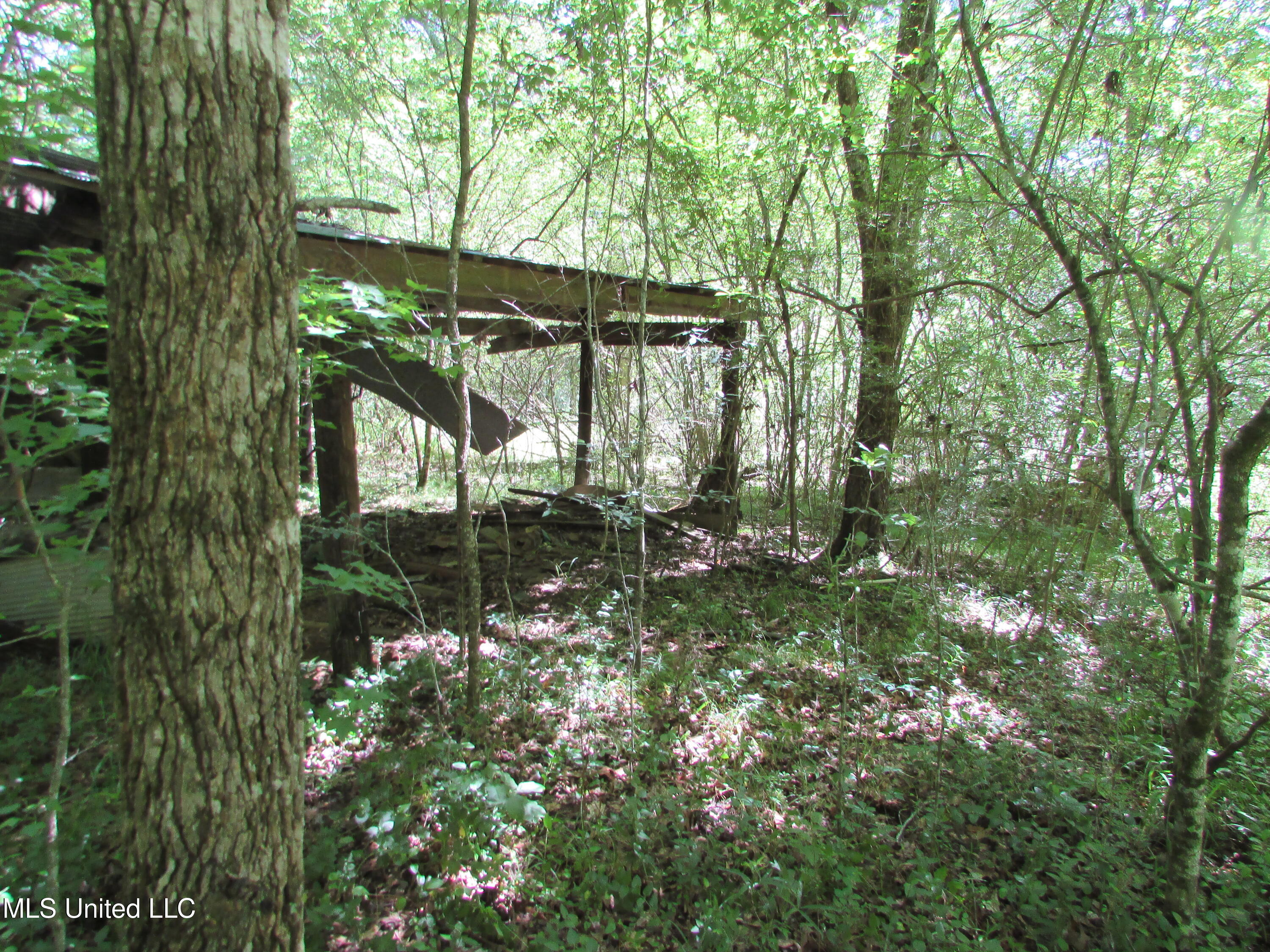 Bend Road, Vaughan, Mississippi image 8