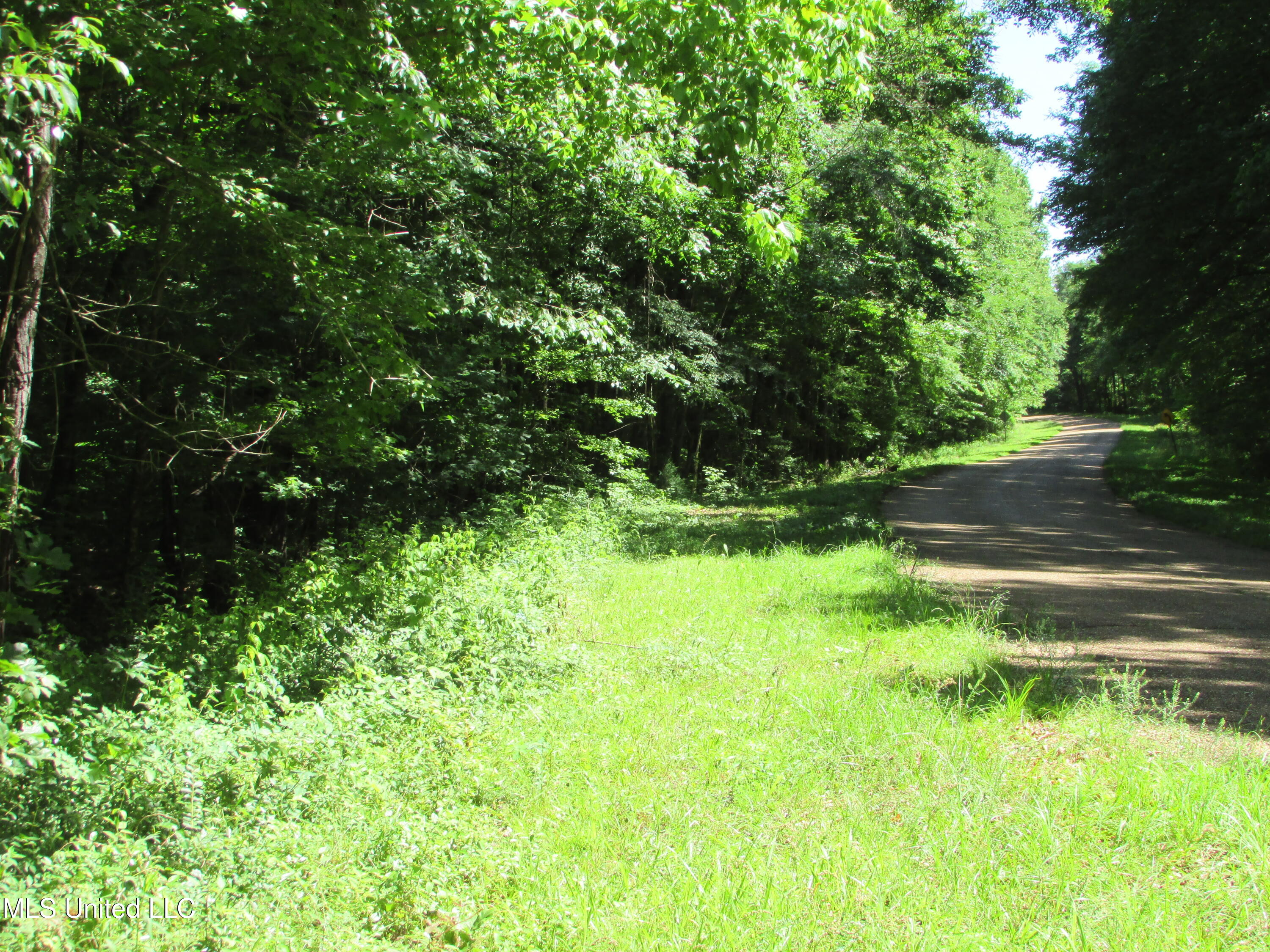 Bend Road, Vaughan, Mississippi image 14