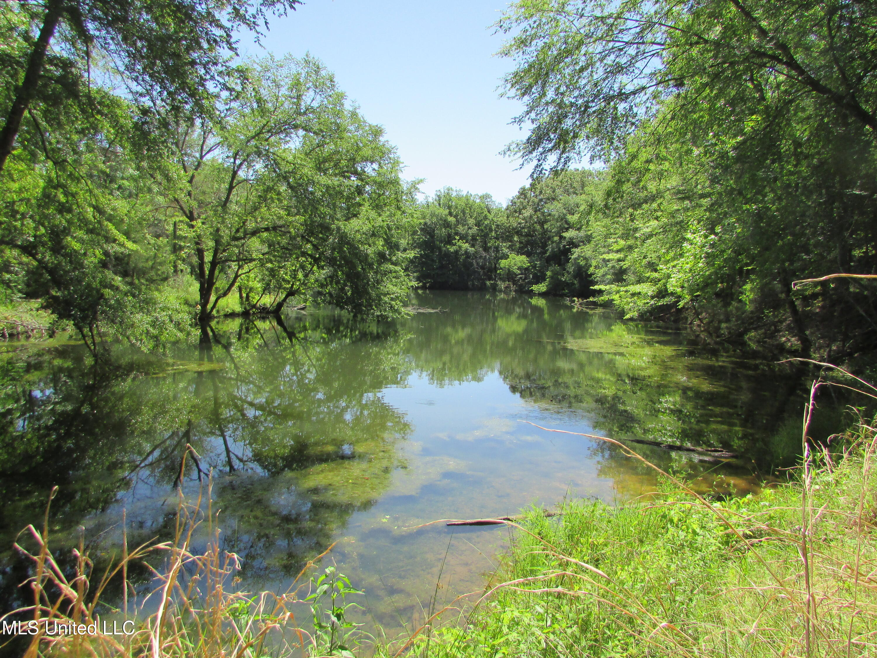 Bend Road, Vaughan, Mississippi image 19