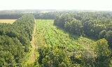 118 Stump Bridge Road, Canton, Mississippi image 2