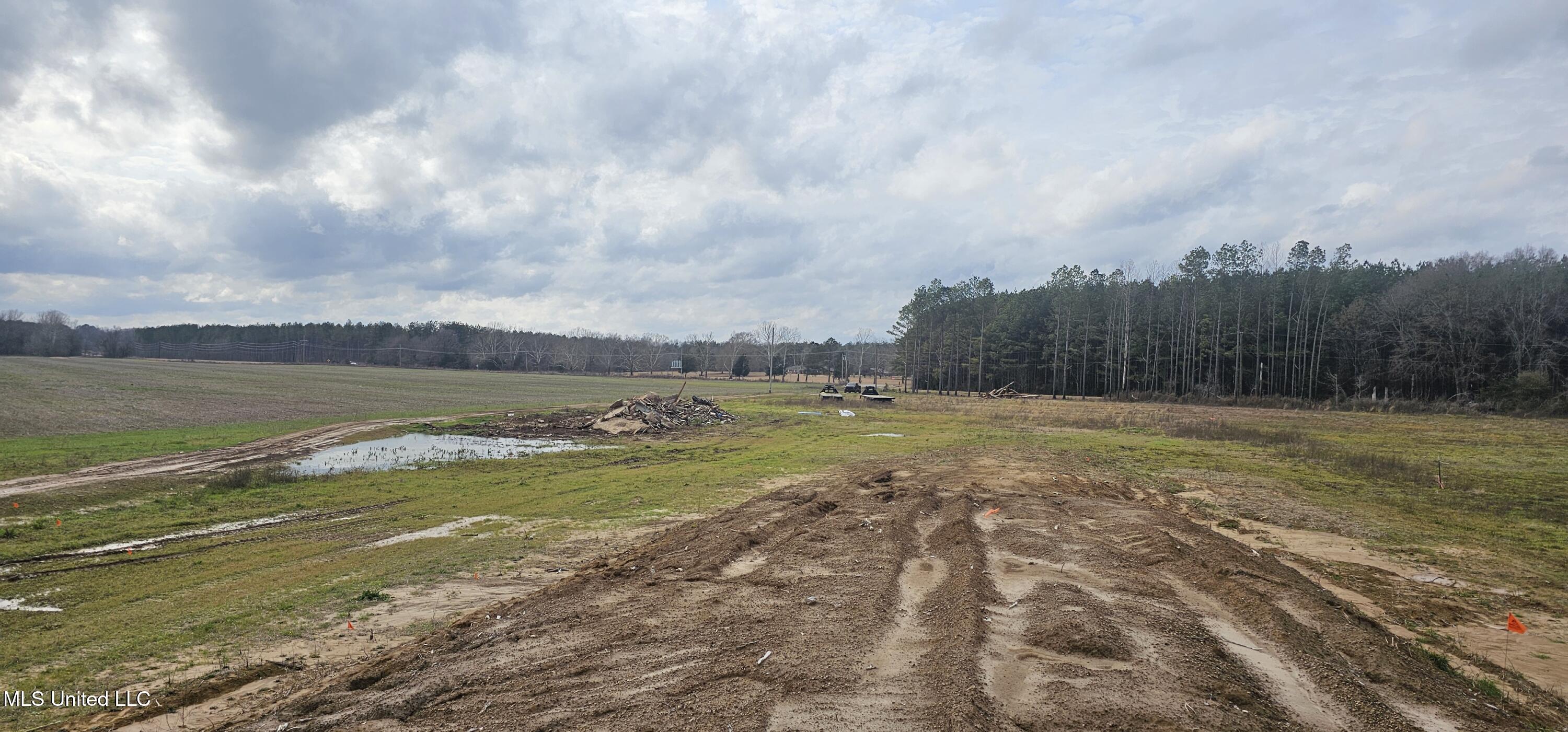 118 Stump Bridge Road, Canton, Mississippi image 8