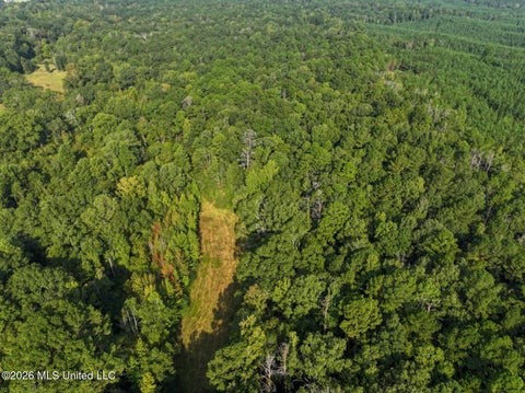 Vacant Land For Sale - Bethesda Road<br/> Copiah County, Crystal Springs, MS 39059