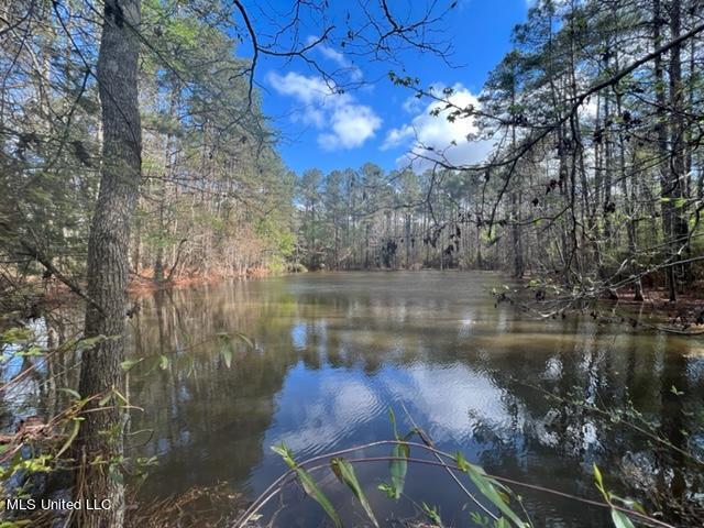 Hwy 84 W & Fern Ln, Brookhaven, Mississippi image 4