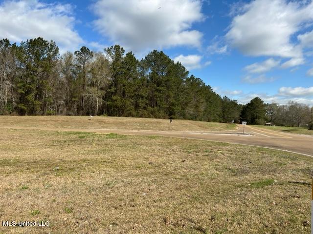 Hwy 84 W & Fern Ln, Brookhaven, Mississippi image 6