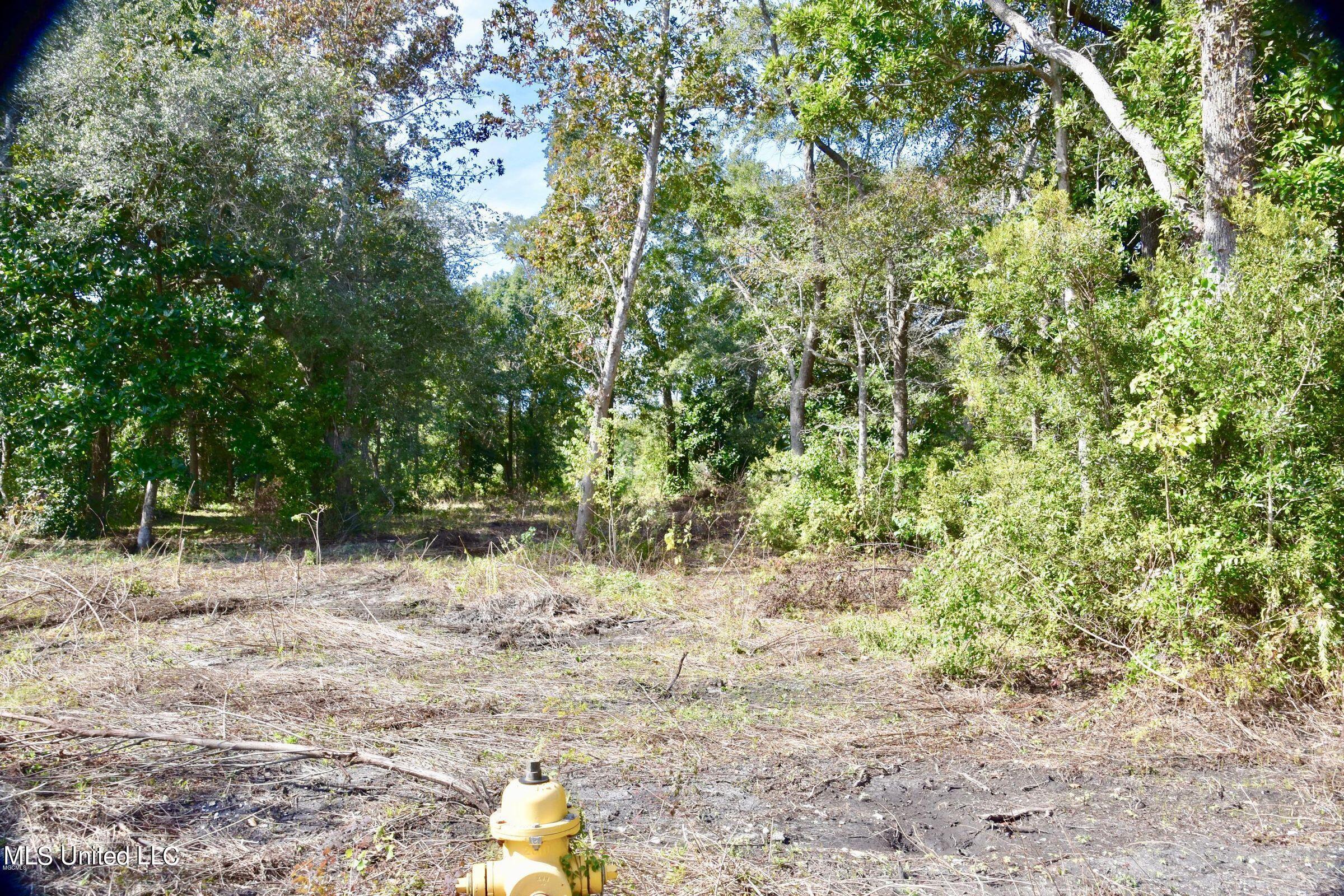 Lot F Courtenay Avenue, Pass Christian, Mississippi image 1