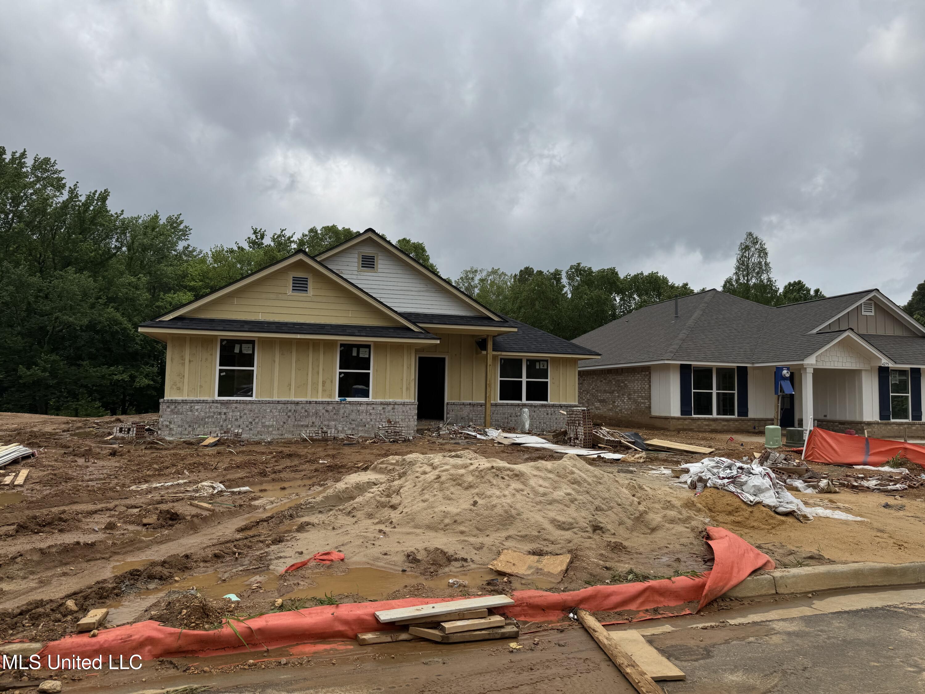 4269 W Olivia Circle, Olive Branch, Mississippi image 2