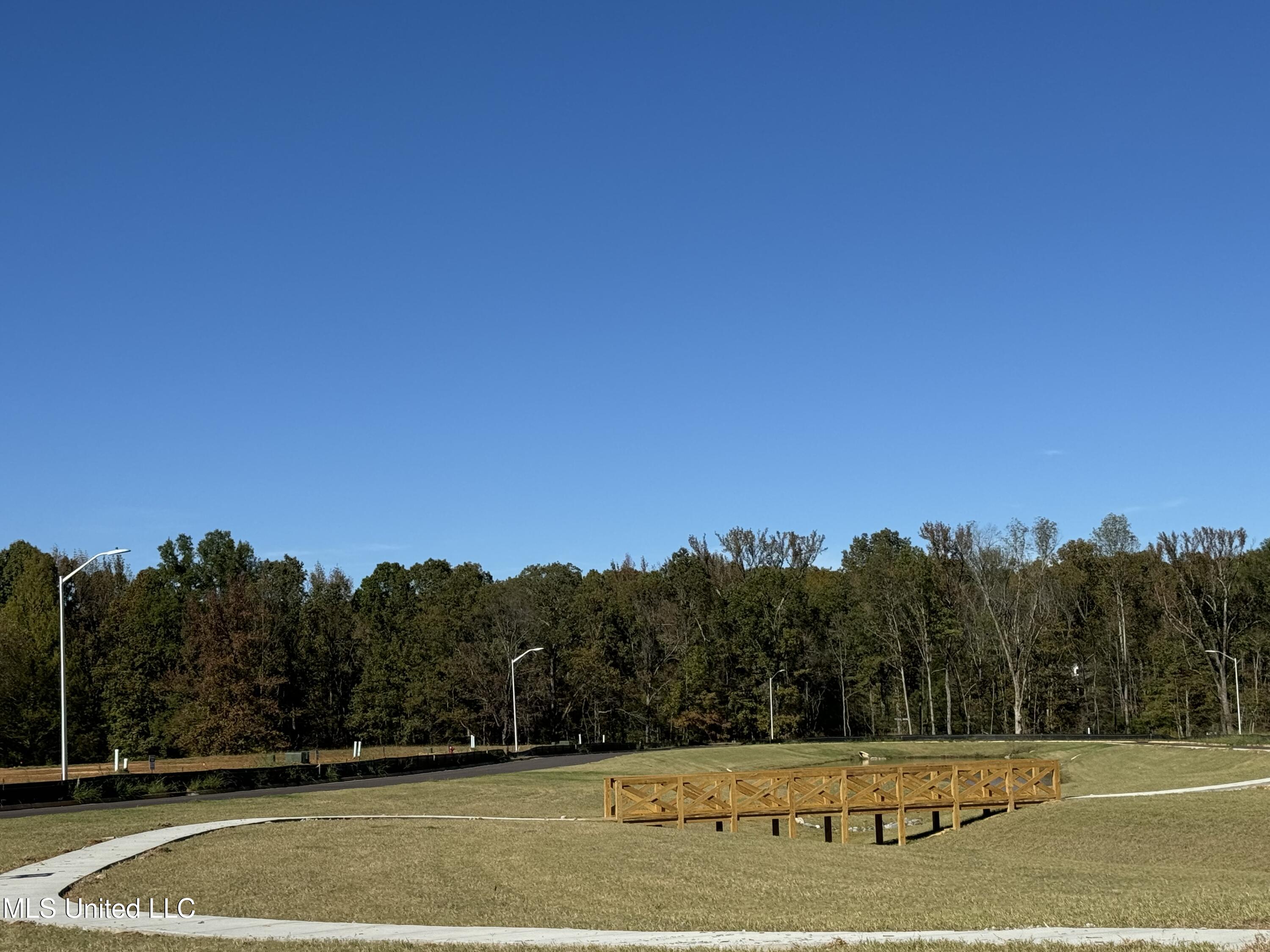 4269 W Olivia Circle, Olive Branch, Mississippi image 9