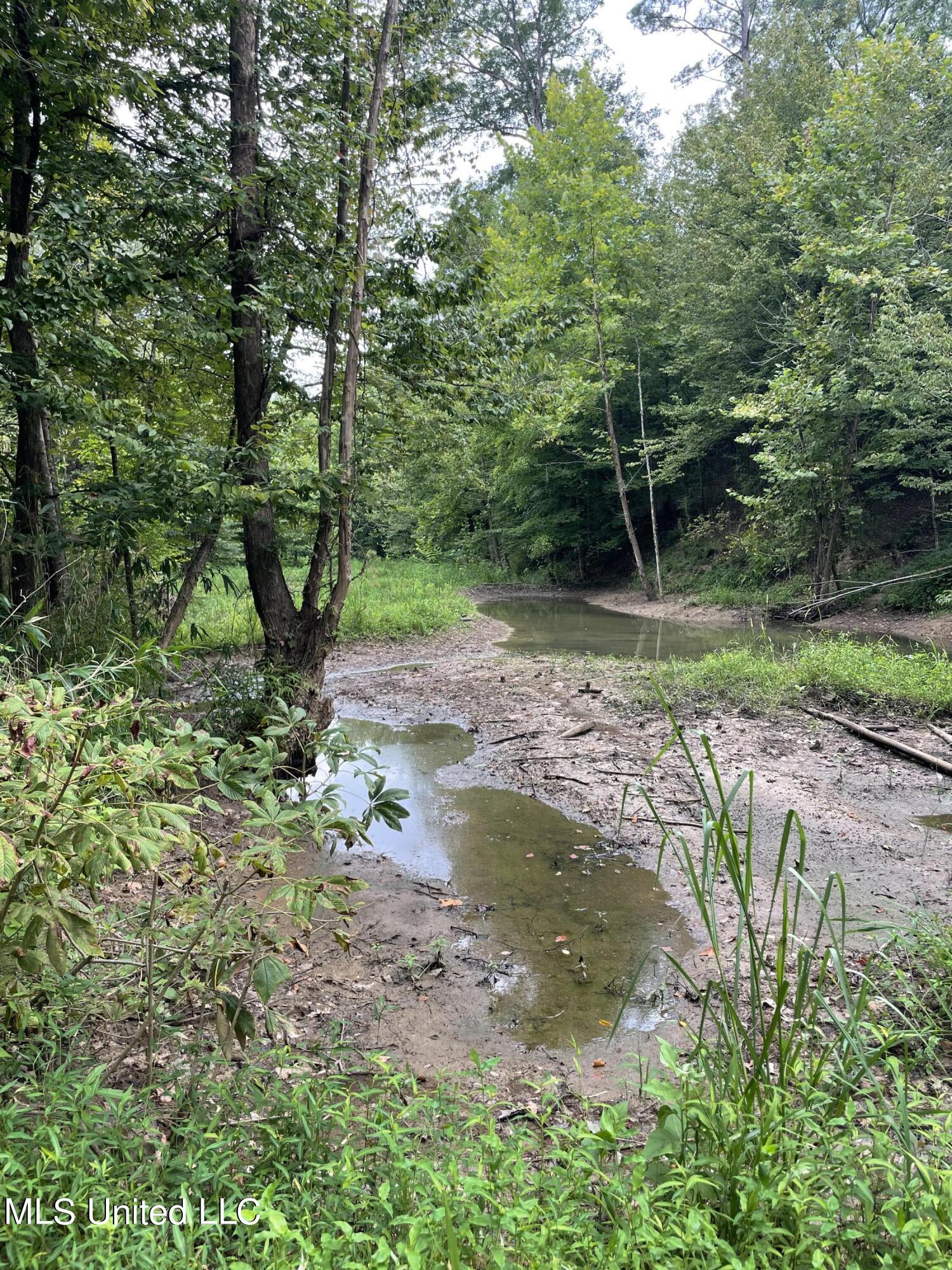 Bell Bottom Road, Cruger, Mississippi image 17