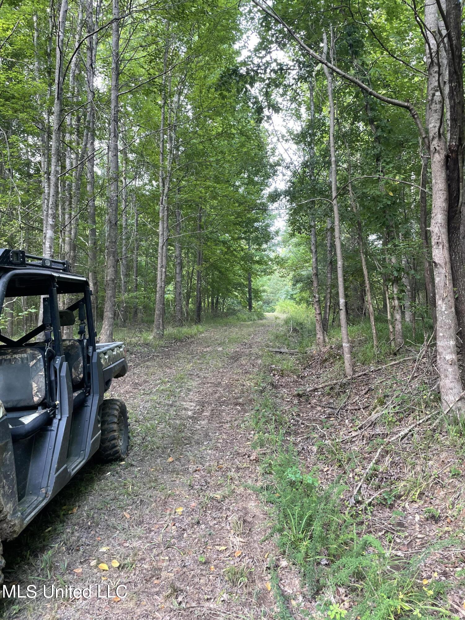 Bell Bottom Road, Cruger, Mississippi image 9