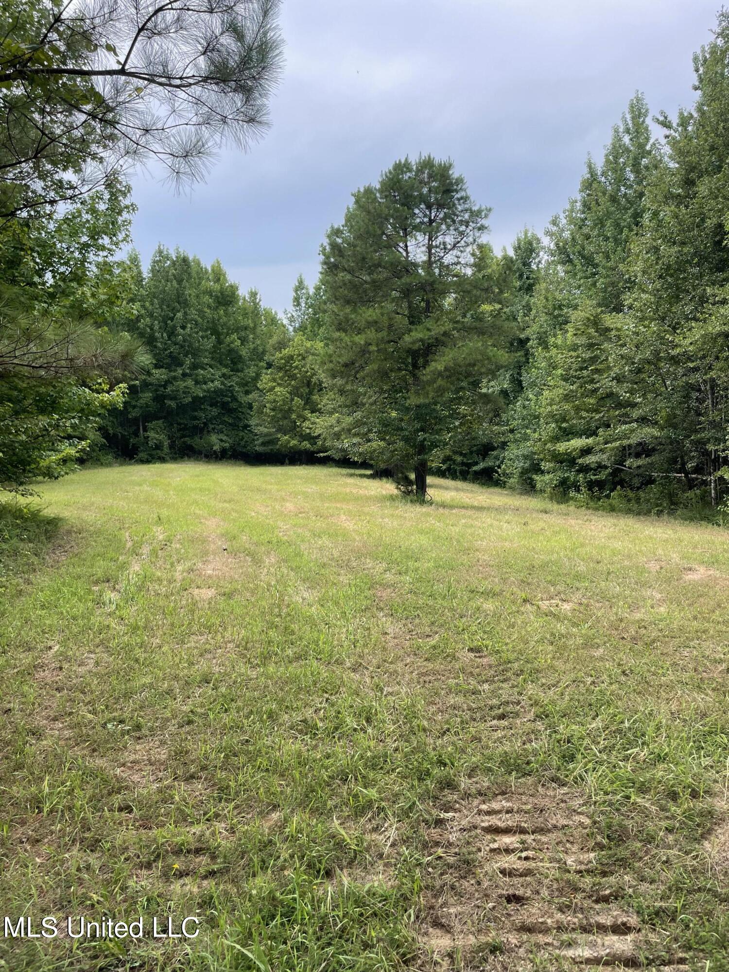 Bell Bottom Road, Cruger, Mississippi image 16