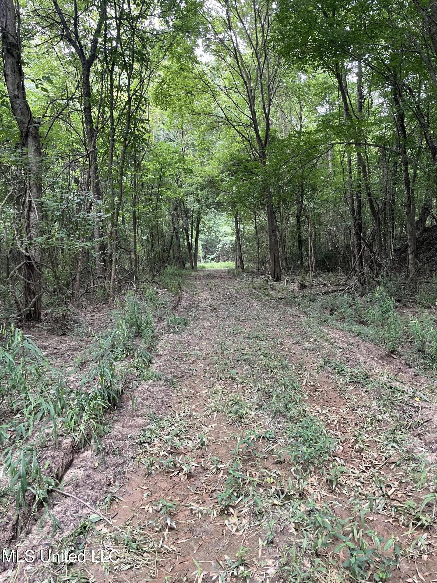 Bell Bottom Road, Cruger, Mississippi image 14