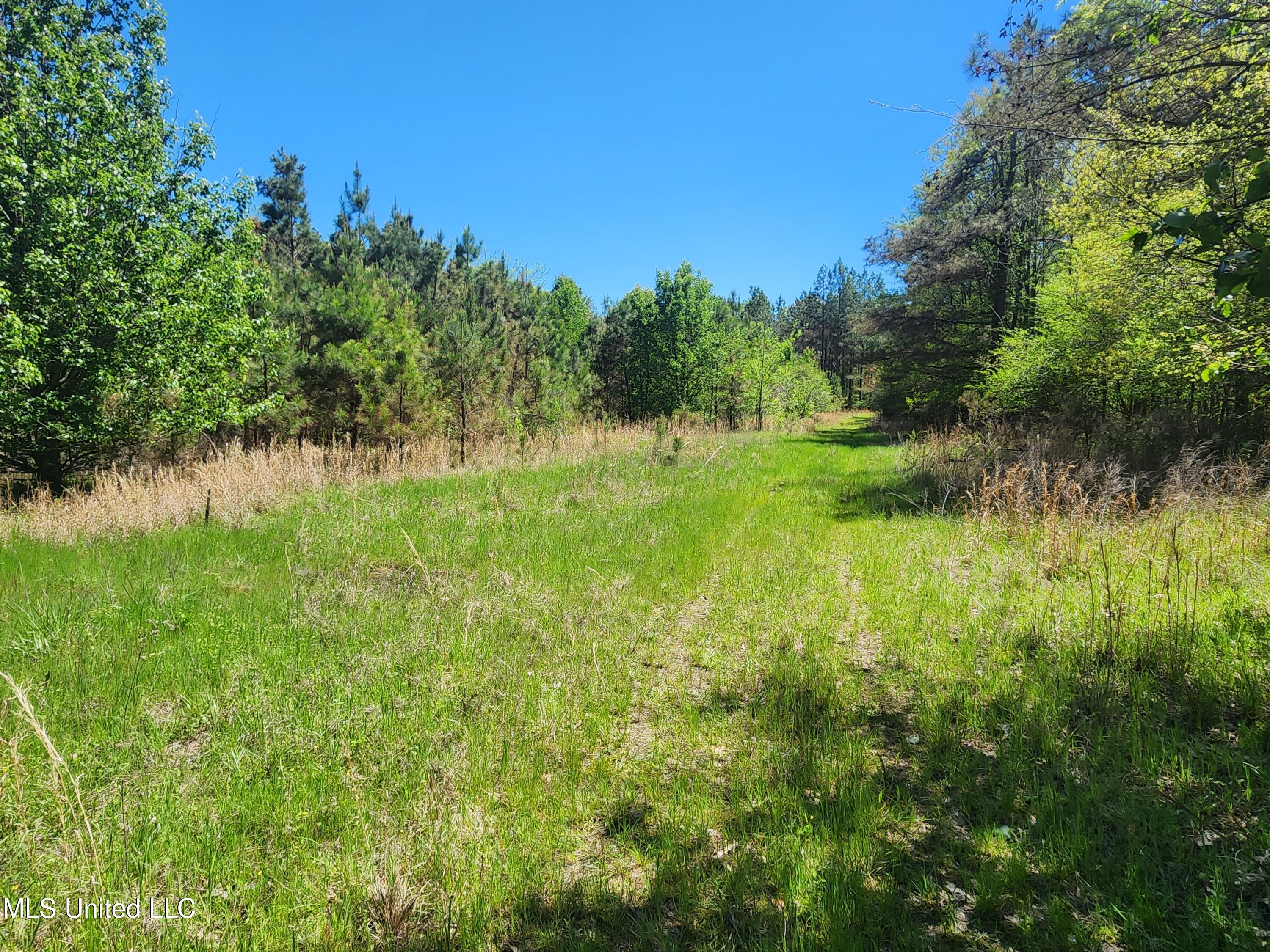 Miller Road, Olive Branch, Mississippi image 9