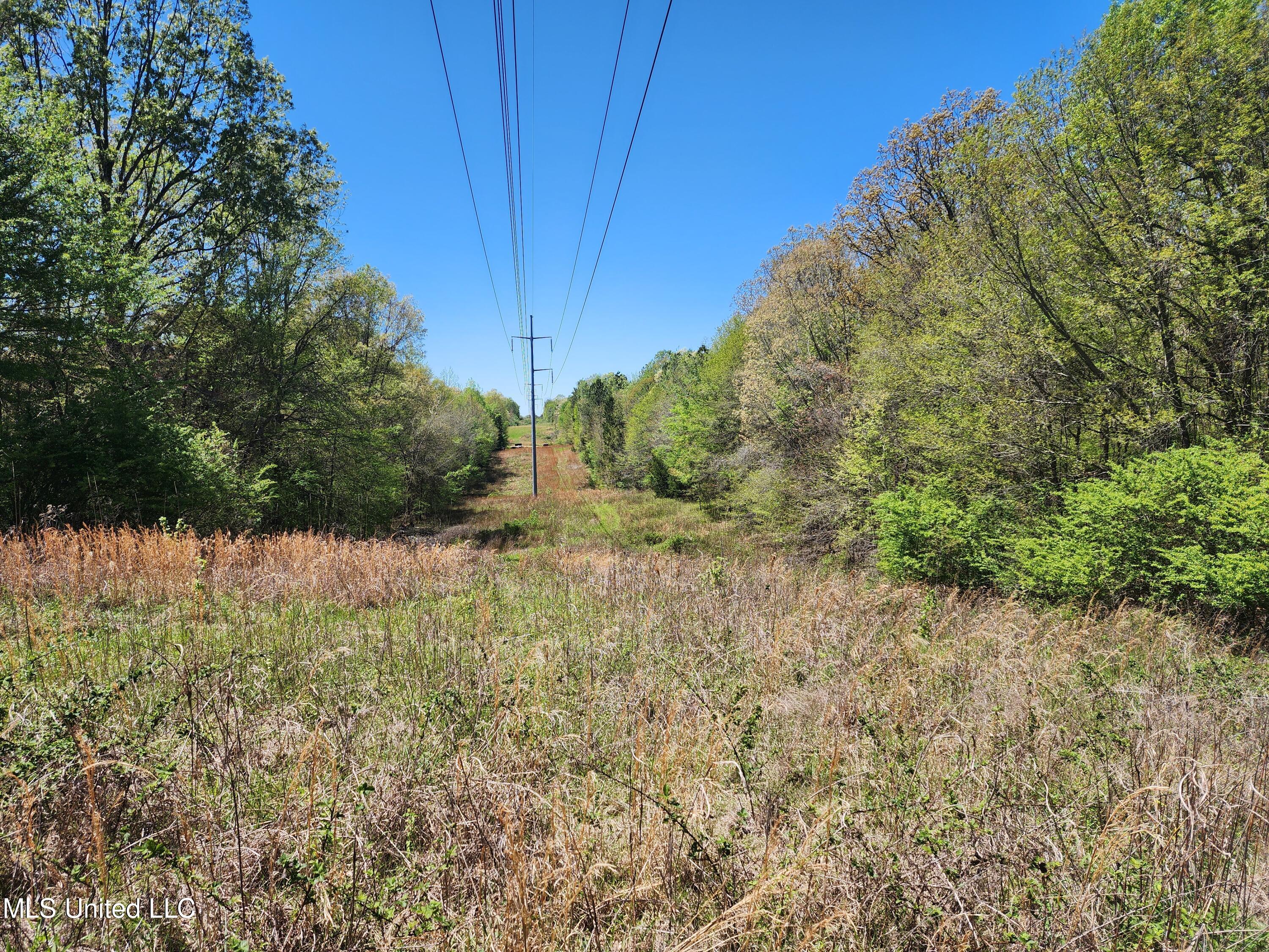 Miller Road, Olive Branch, Mississippi image 19