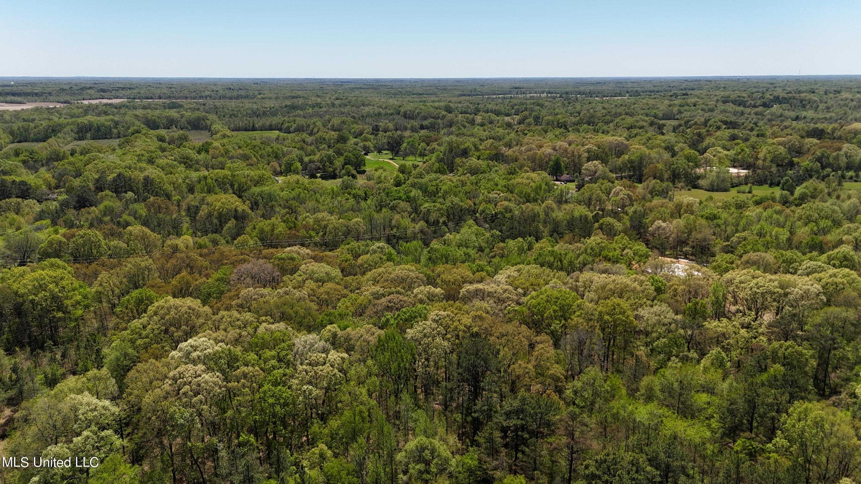 Miller Road, Olive Branch, Mississippi image 4