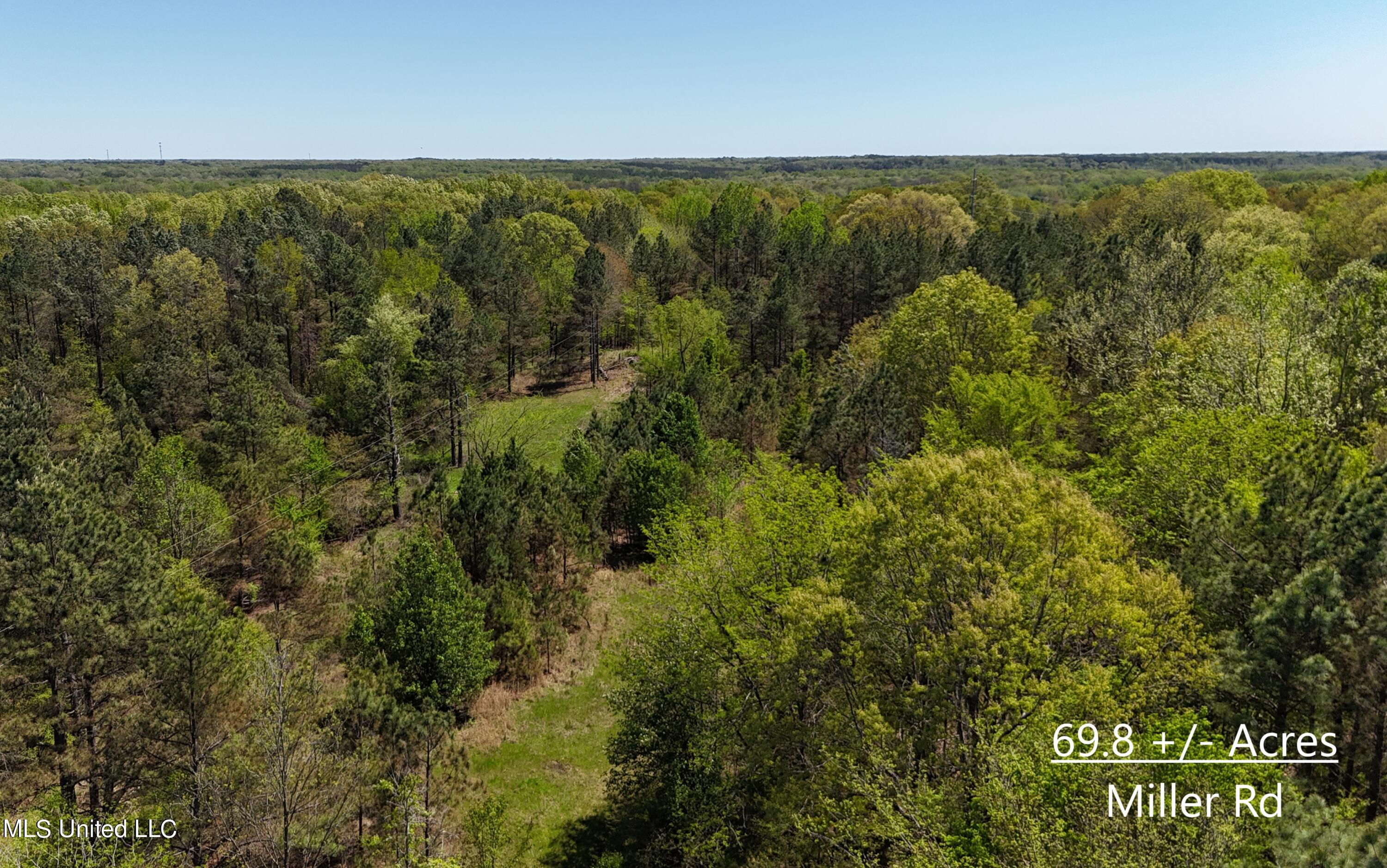 Miller Road, Olive Branch, Mississippi image 2